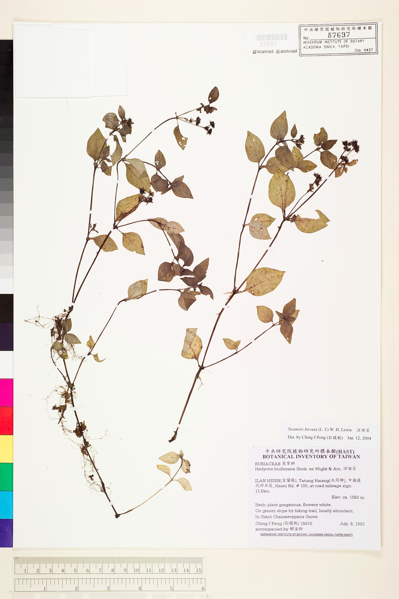 Sample image for viewer