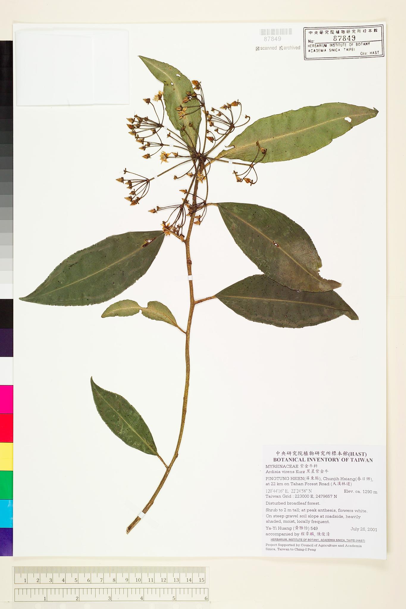 Sample image for viewer