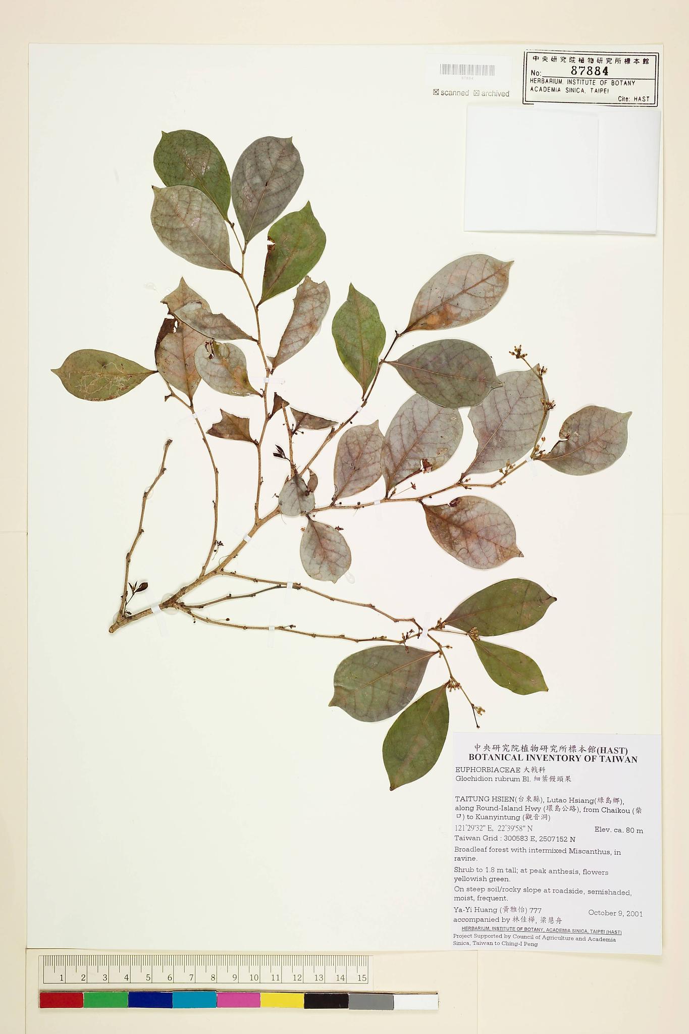 Sample image for viewer