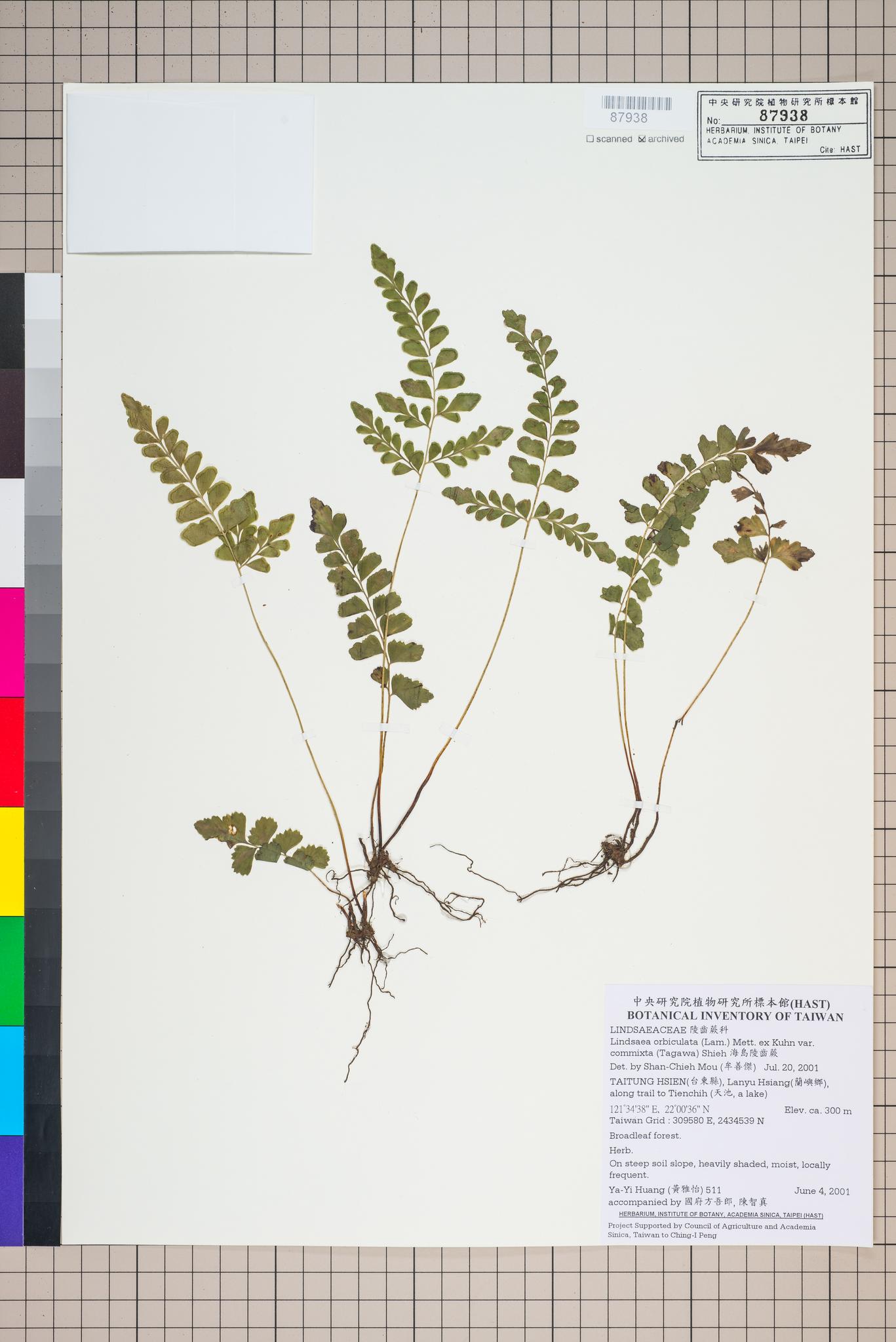 Specimen image