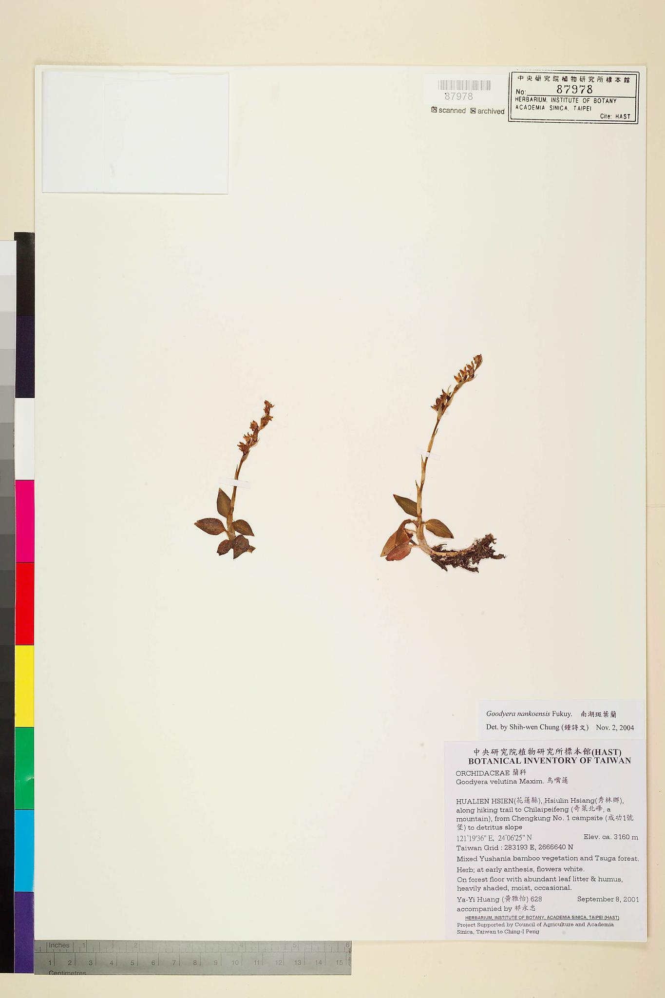 Sample image for viewer