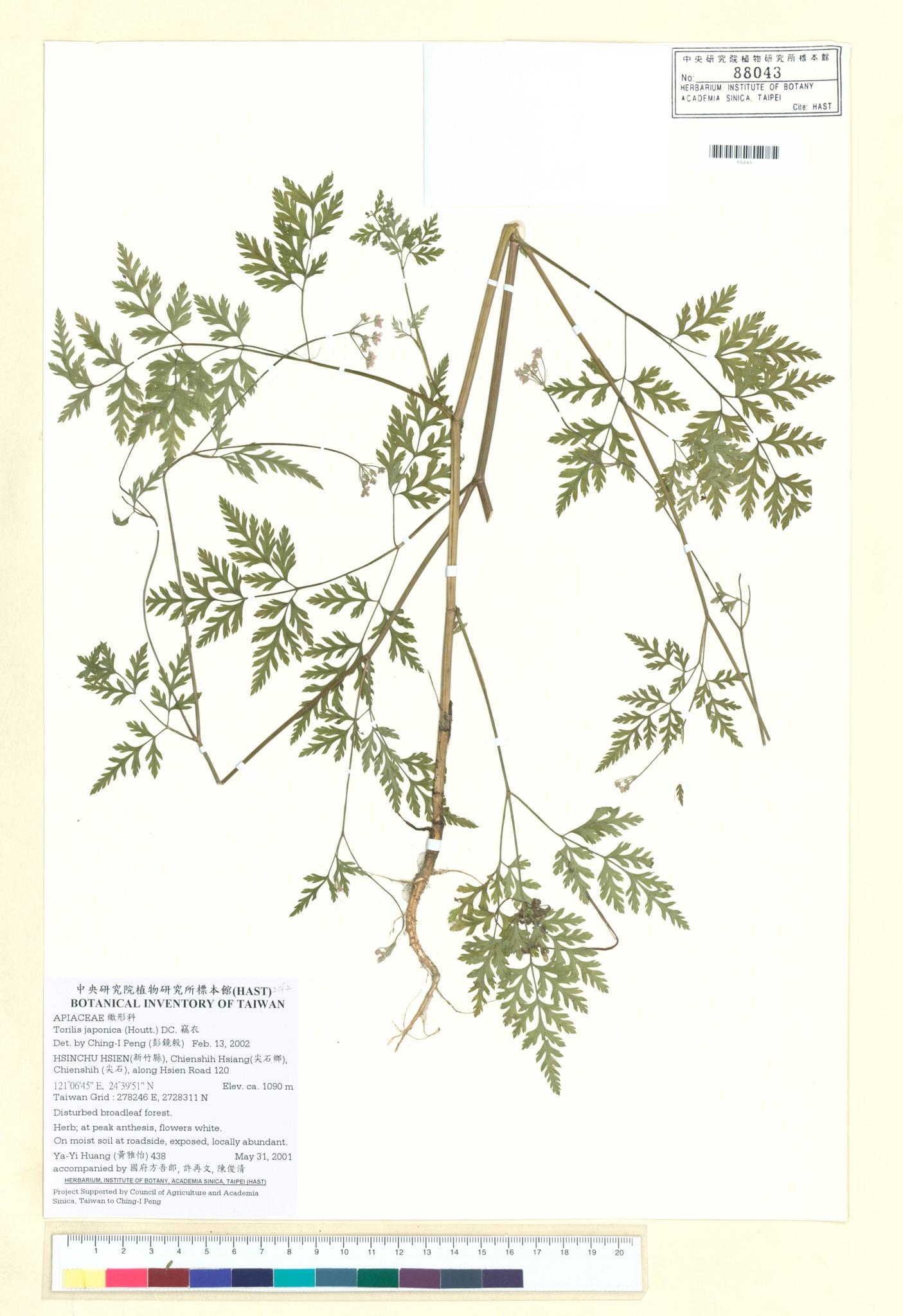 Sample image for viewer