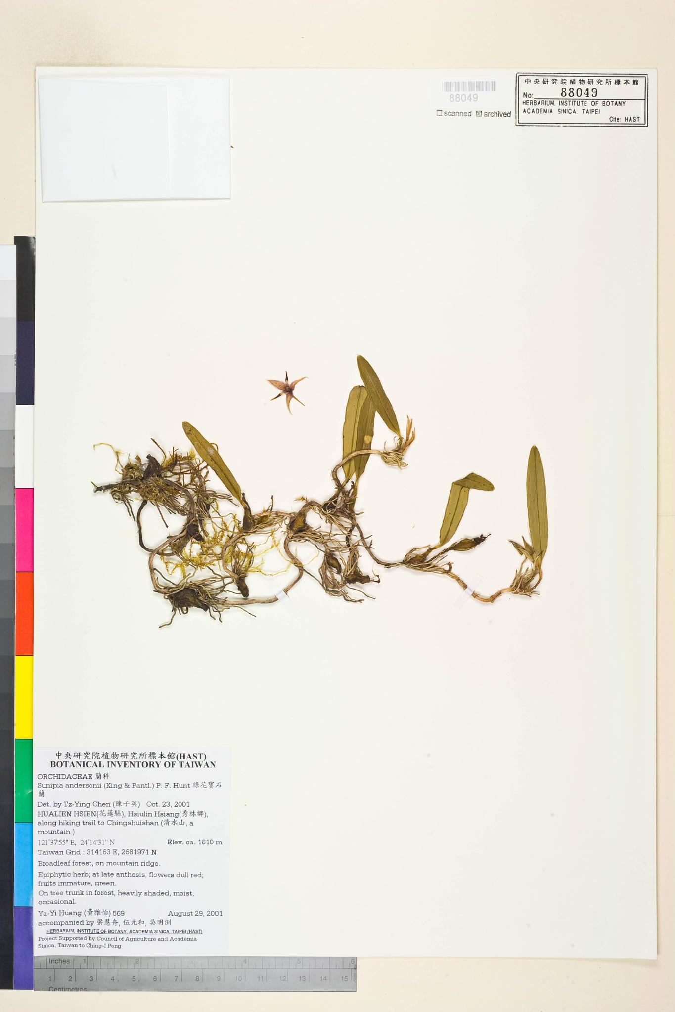 Sample image for viewer