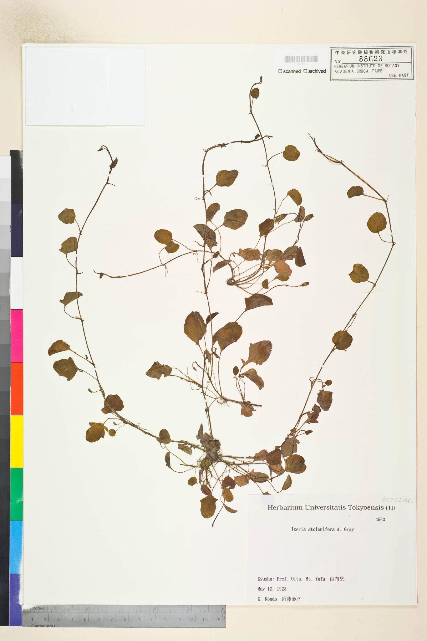 Specimen image