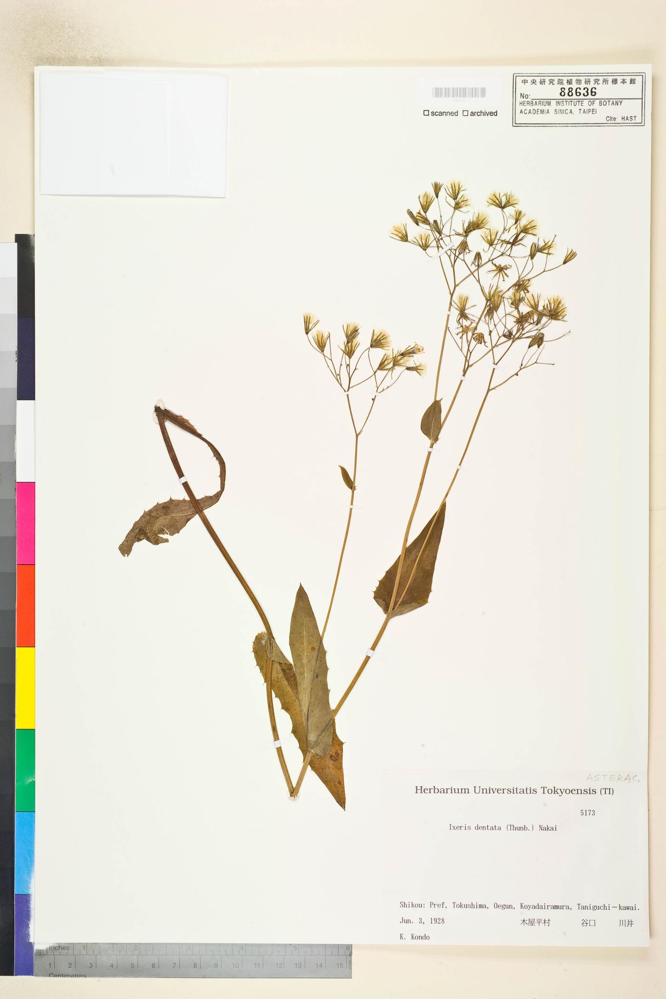 Sample image for viewer