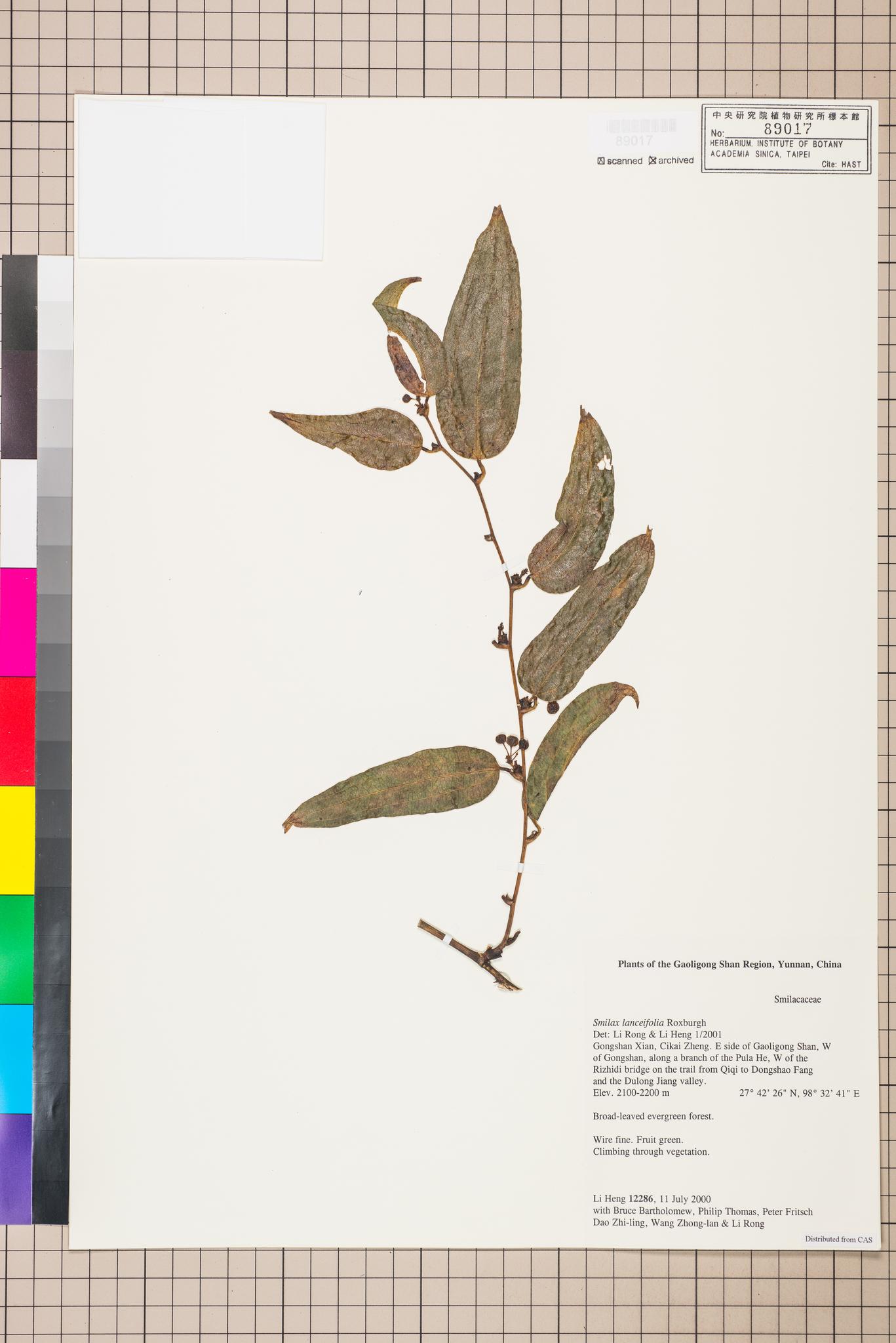 Sample image for viewer