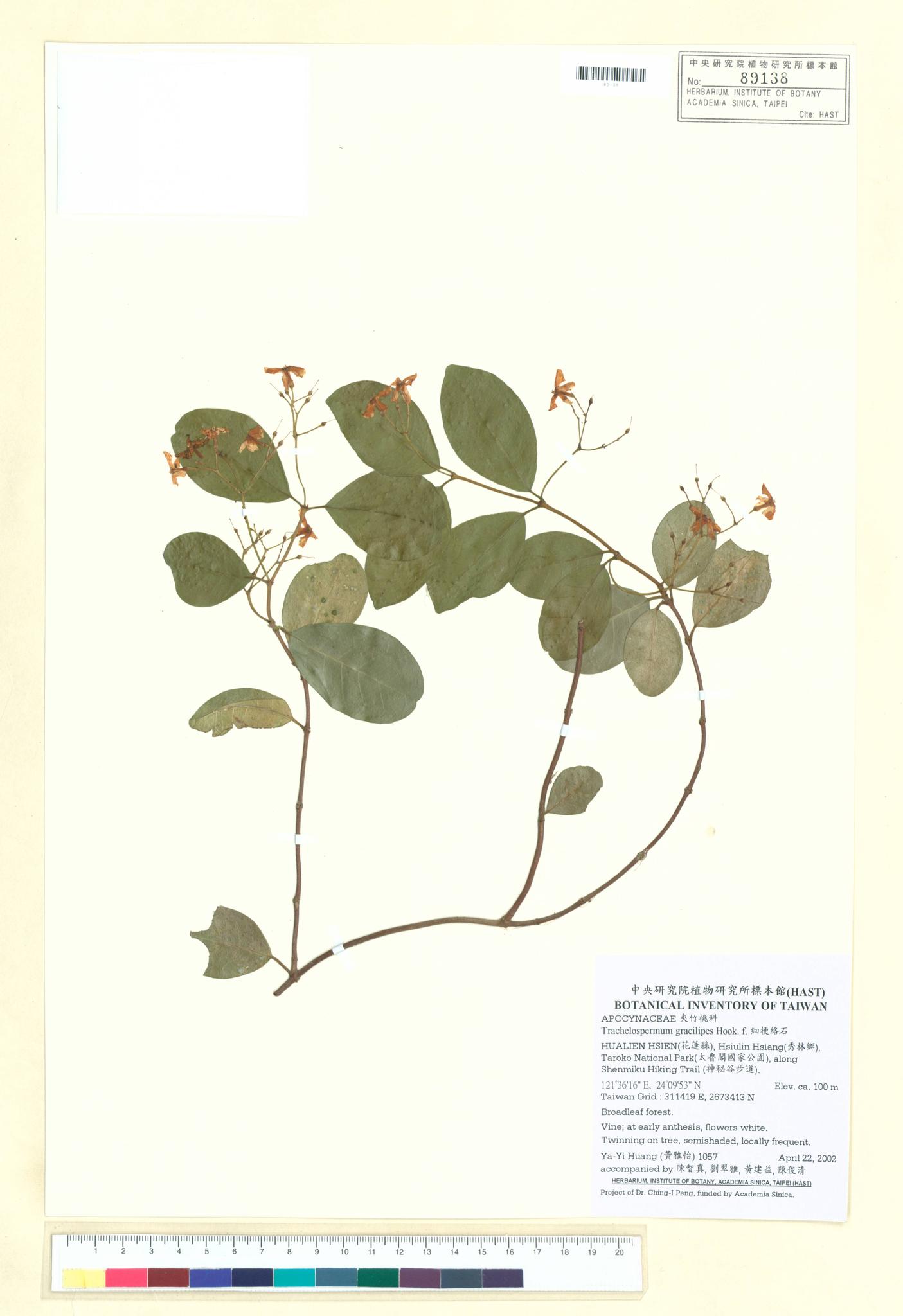 Sample image for viewer