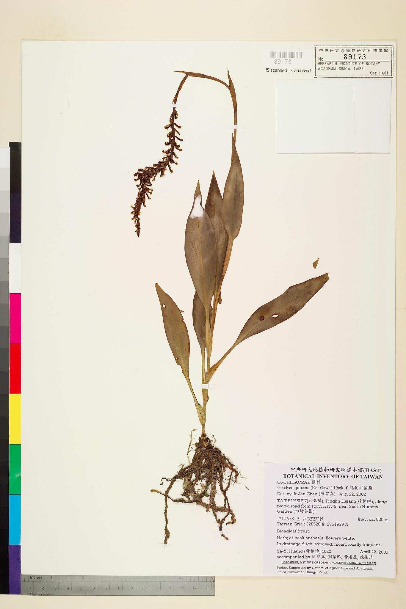 Sample image for viewer