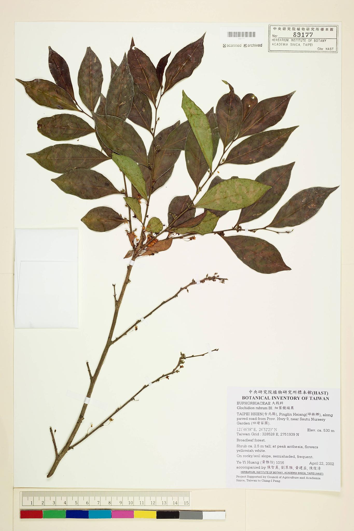 Sample image for viewer