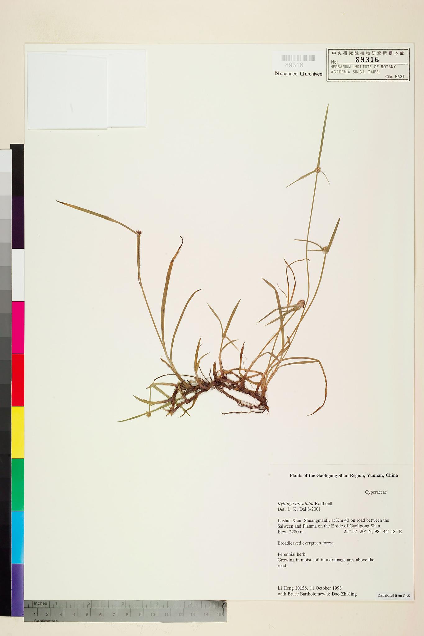 Sample image for viewer