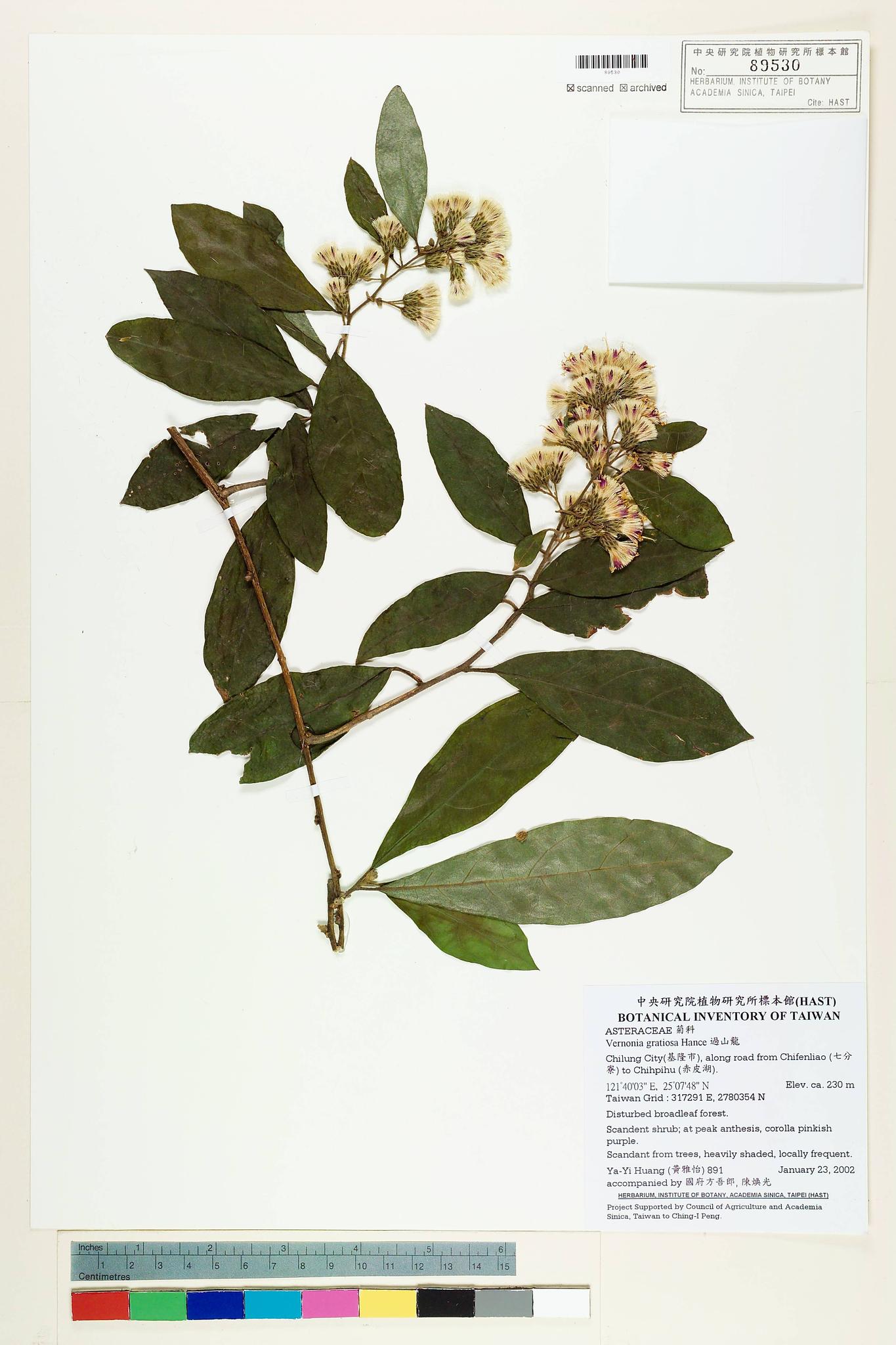 Sample image for viewer