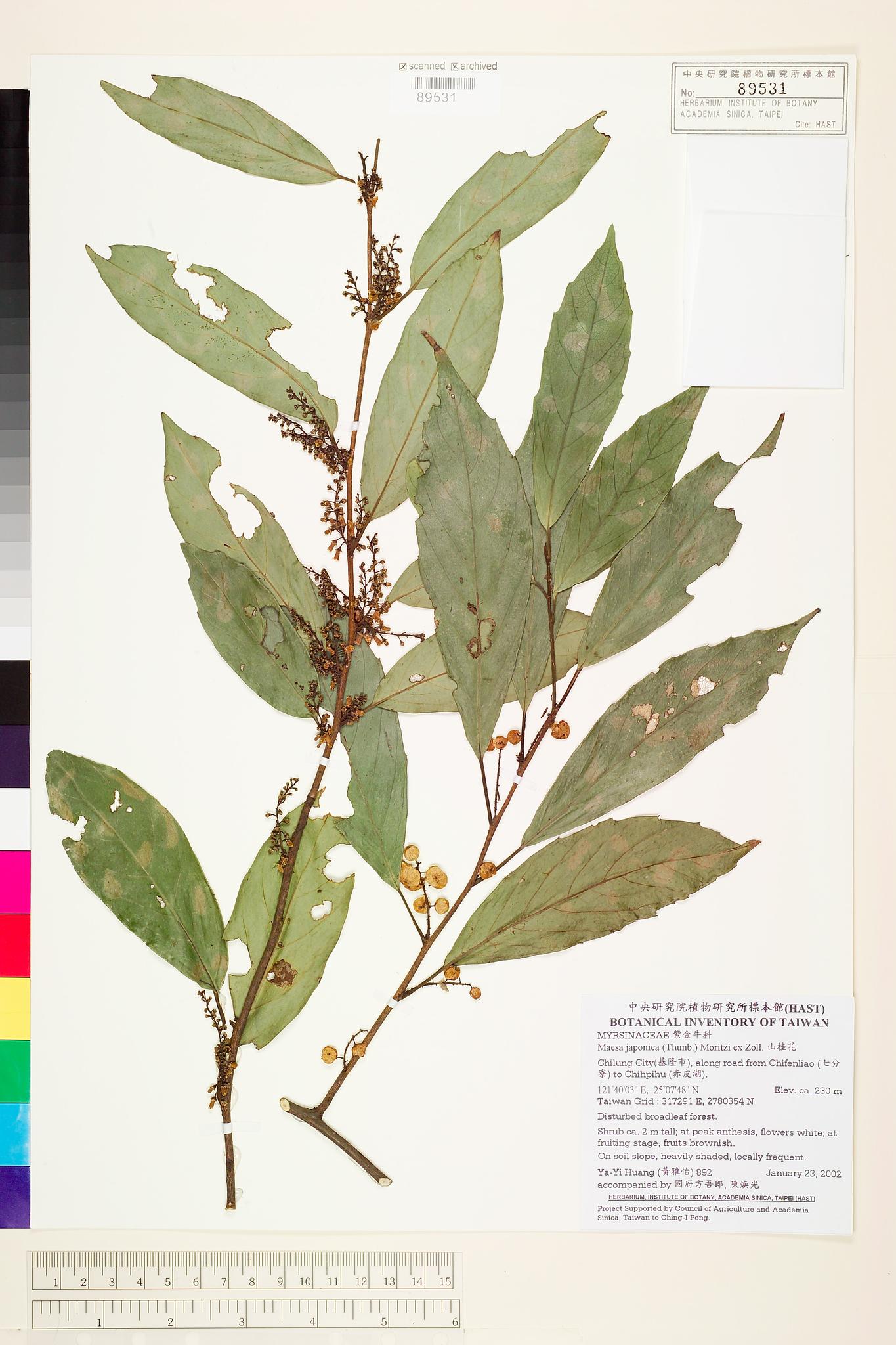 Sample image for viewer