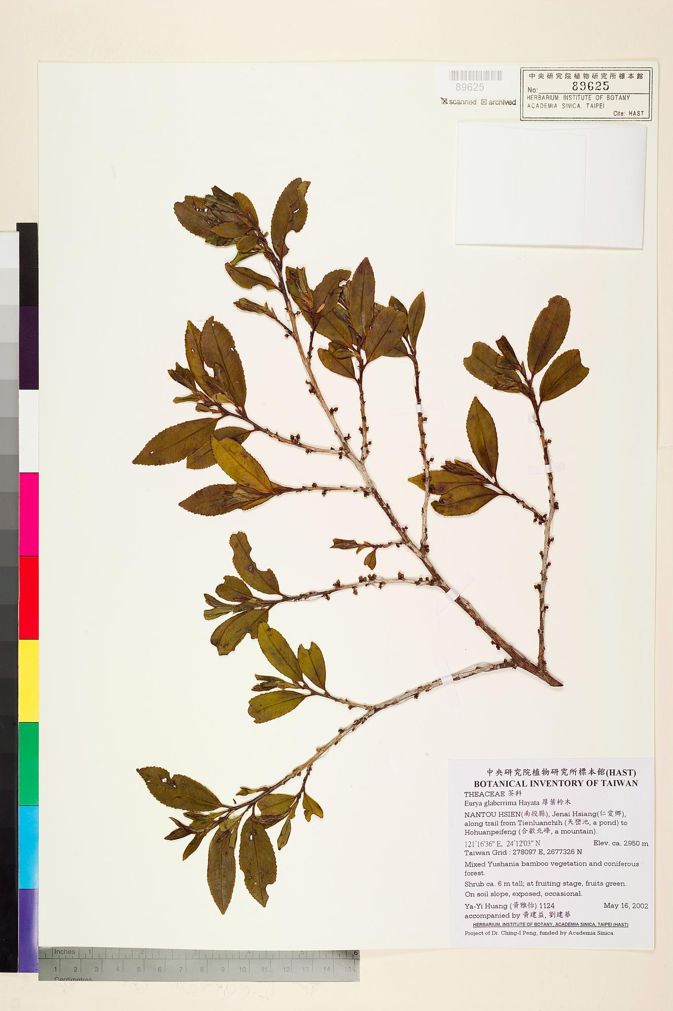 Sample image for viewer