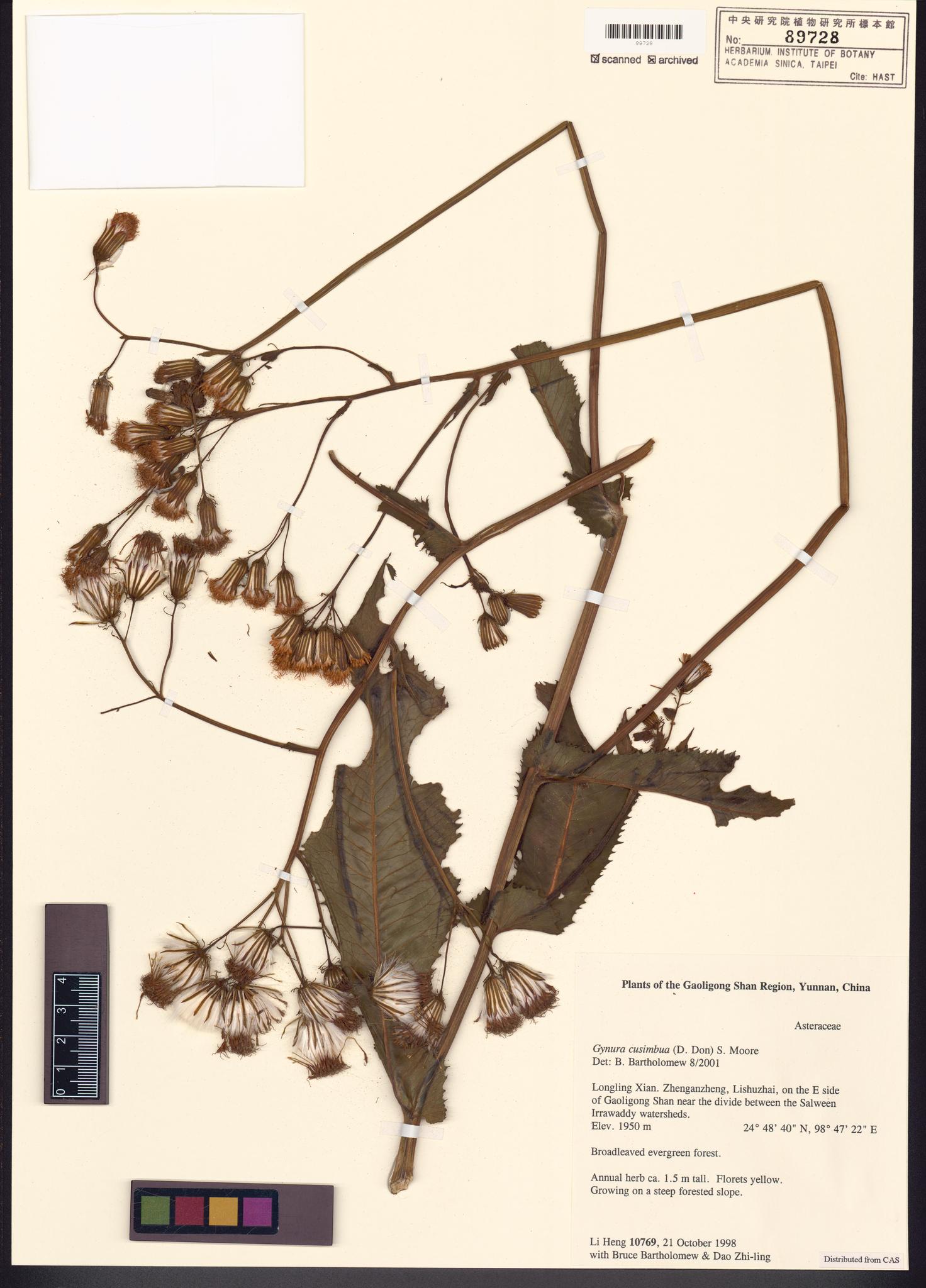 Sample image for viewer