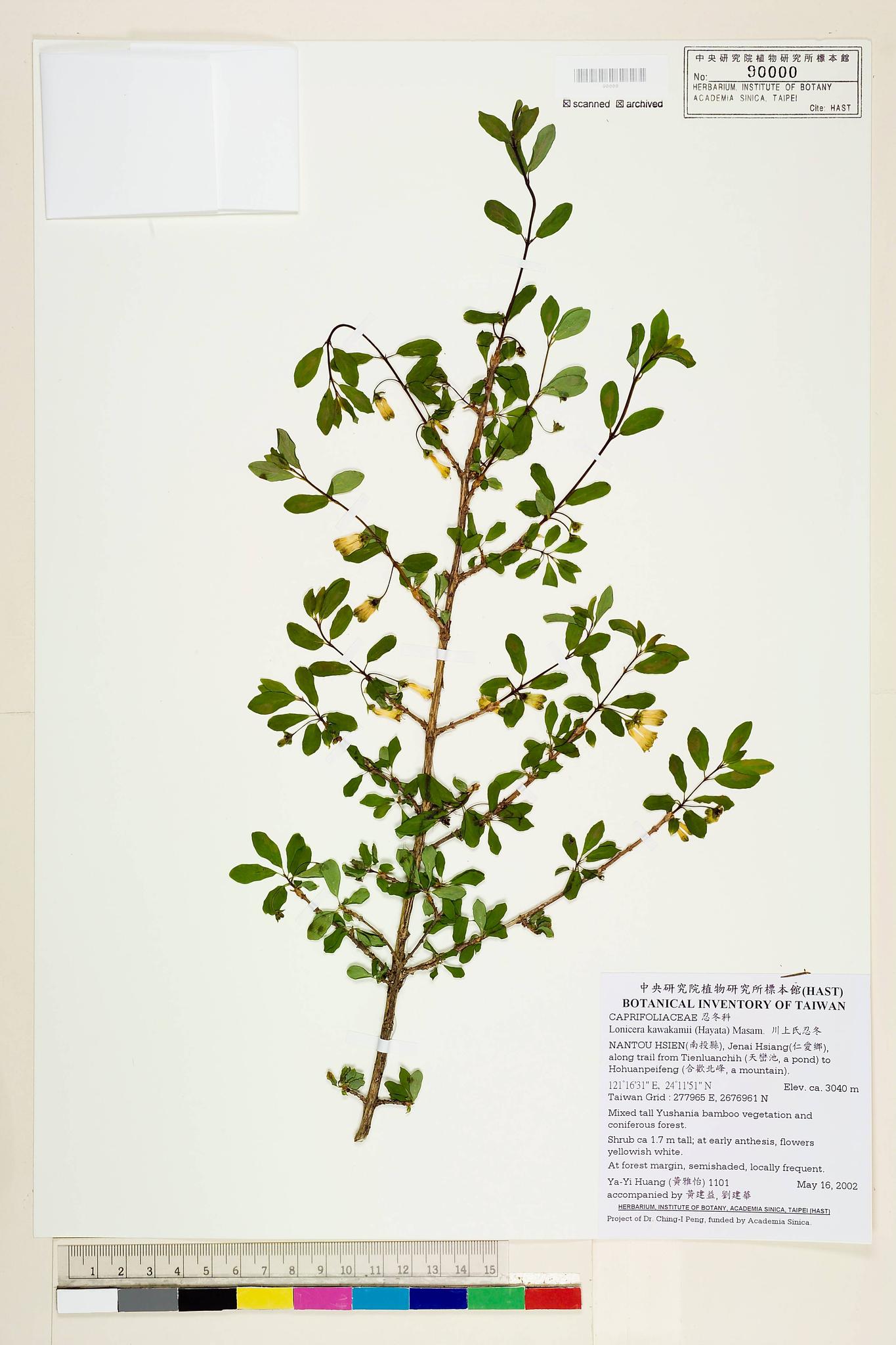 Sample image for viewer