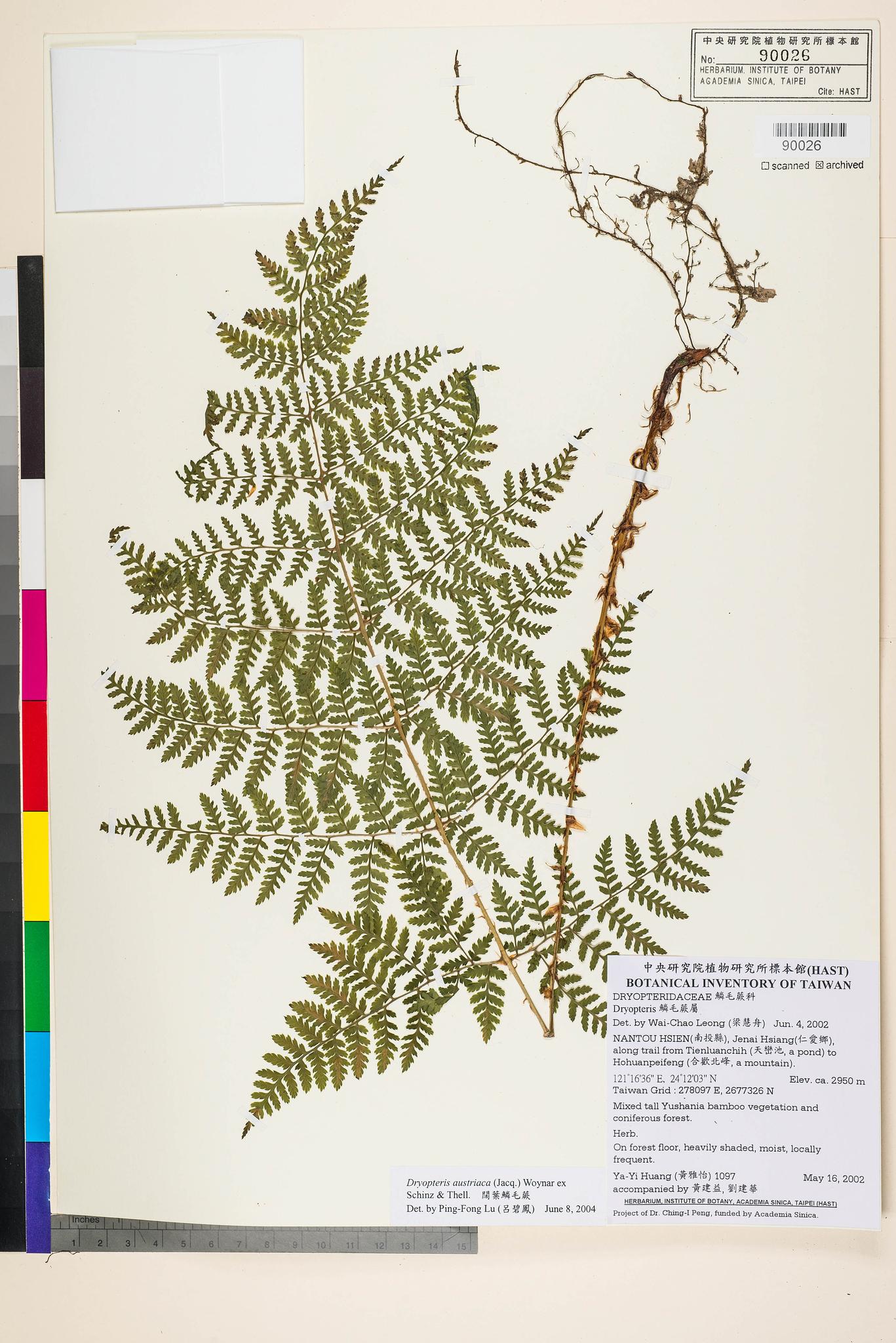 Sample image for viewer