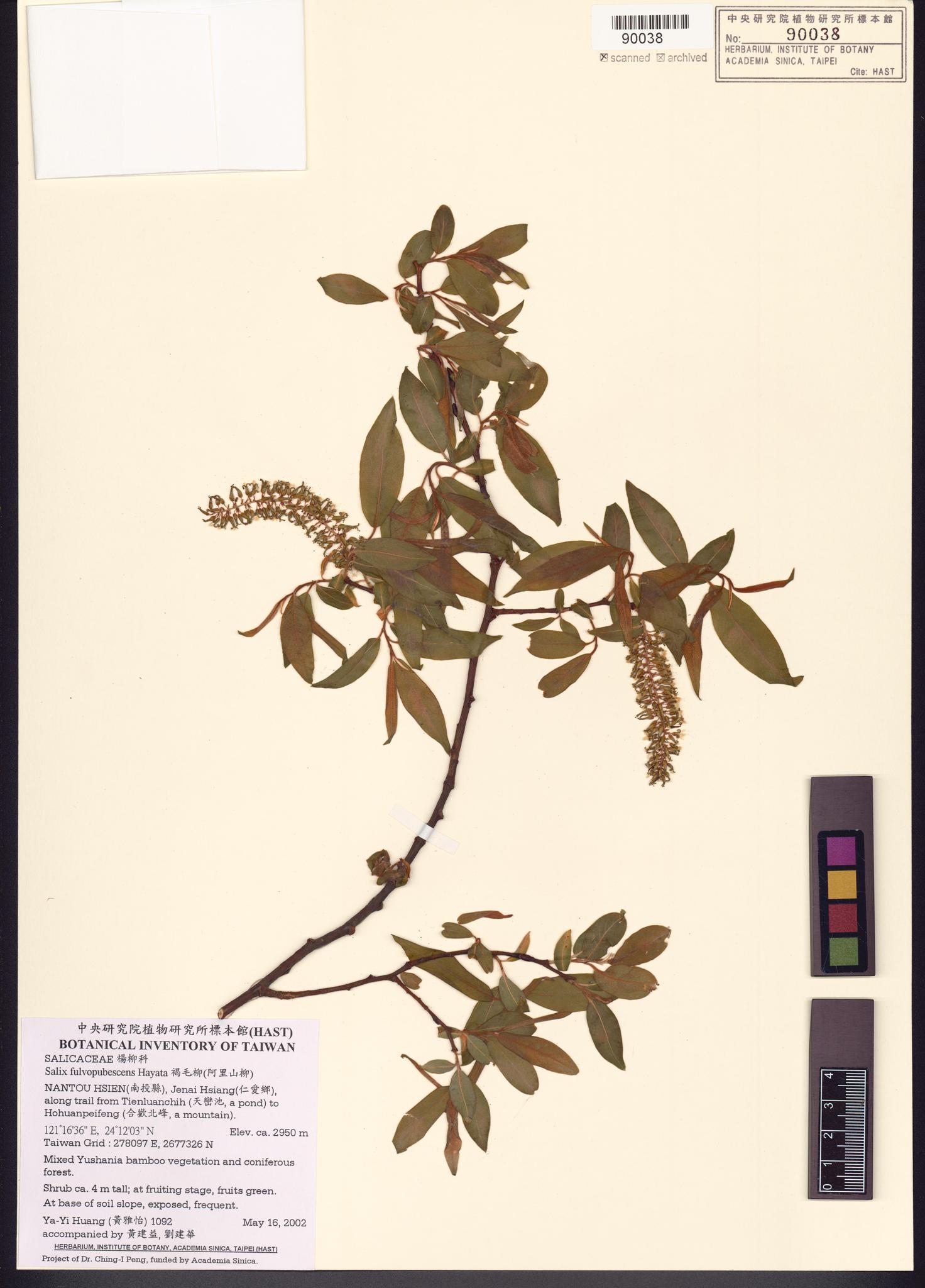 Sample image for viewer