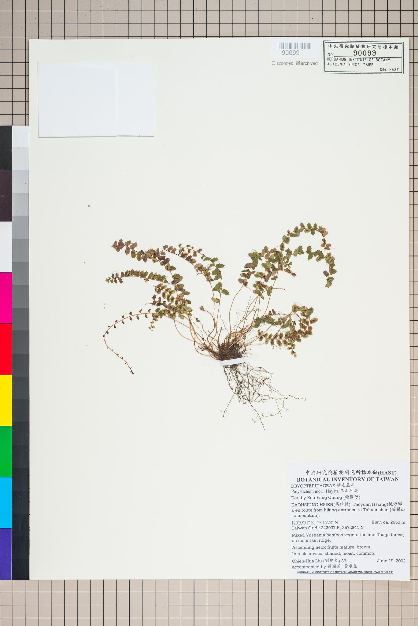 Sample image for viewer