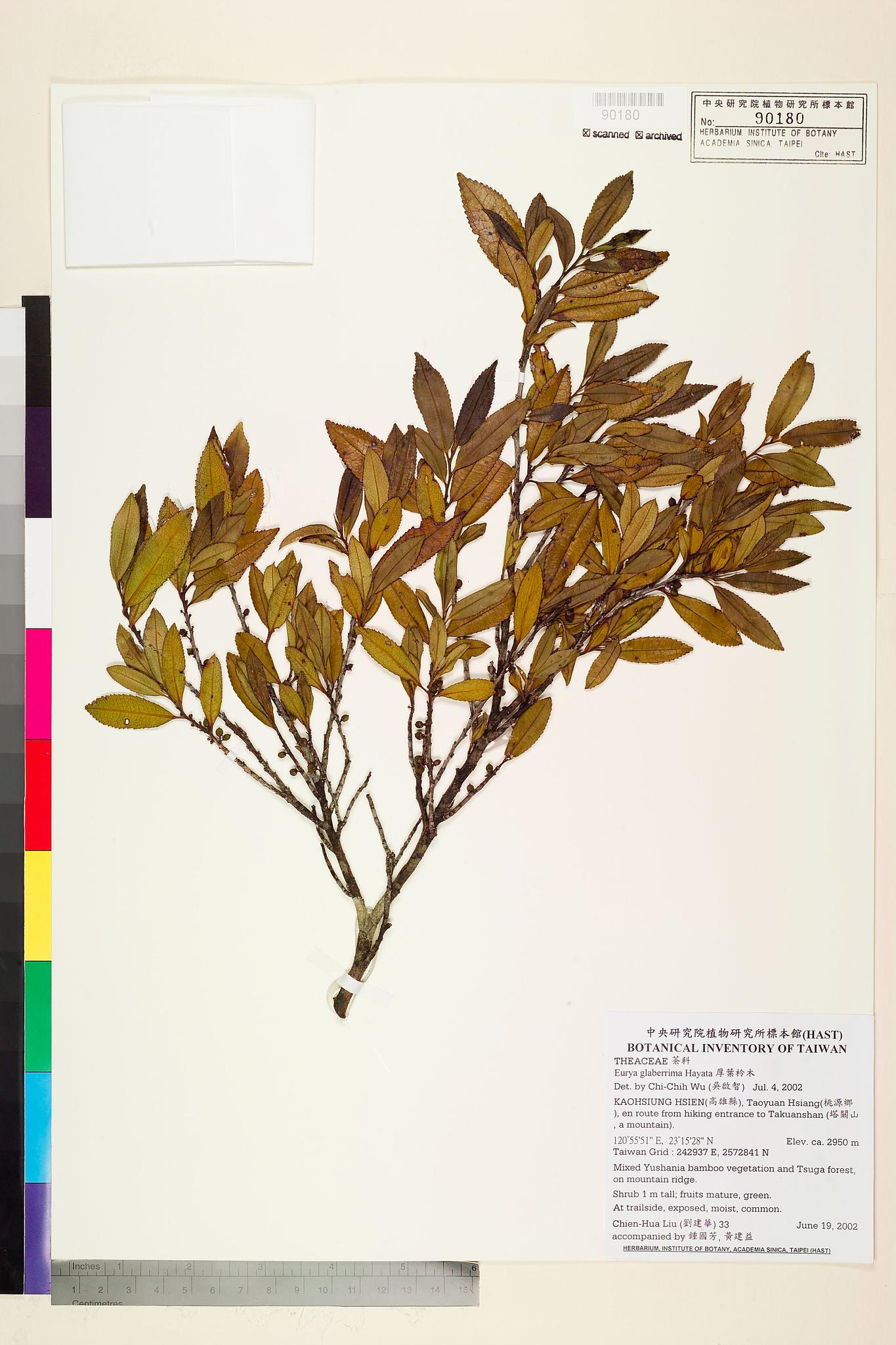 Sample image for viewer