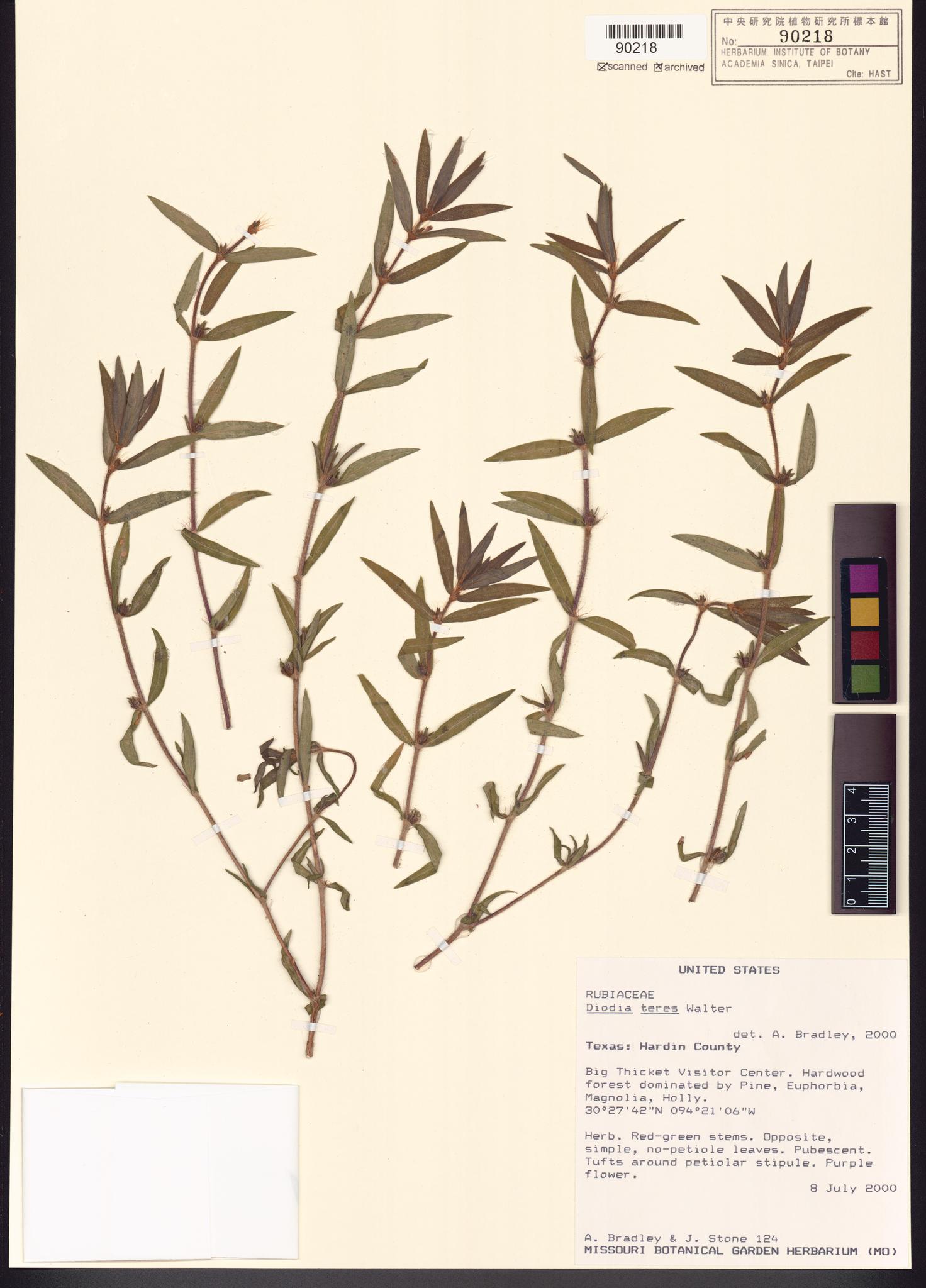 Sample image for viewer