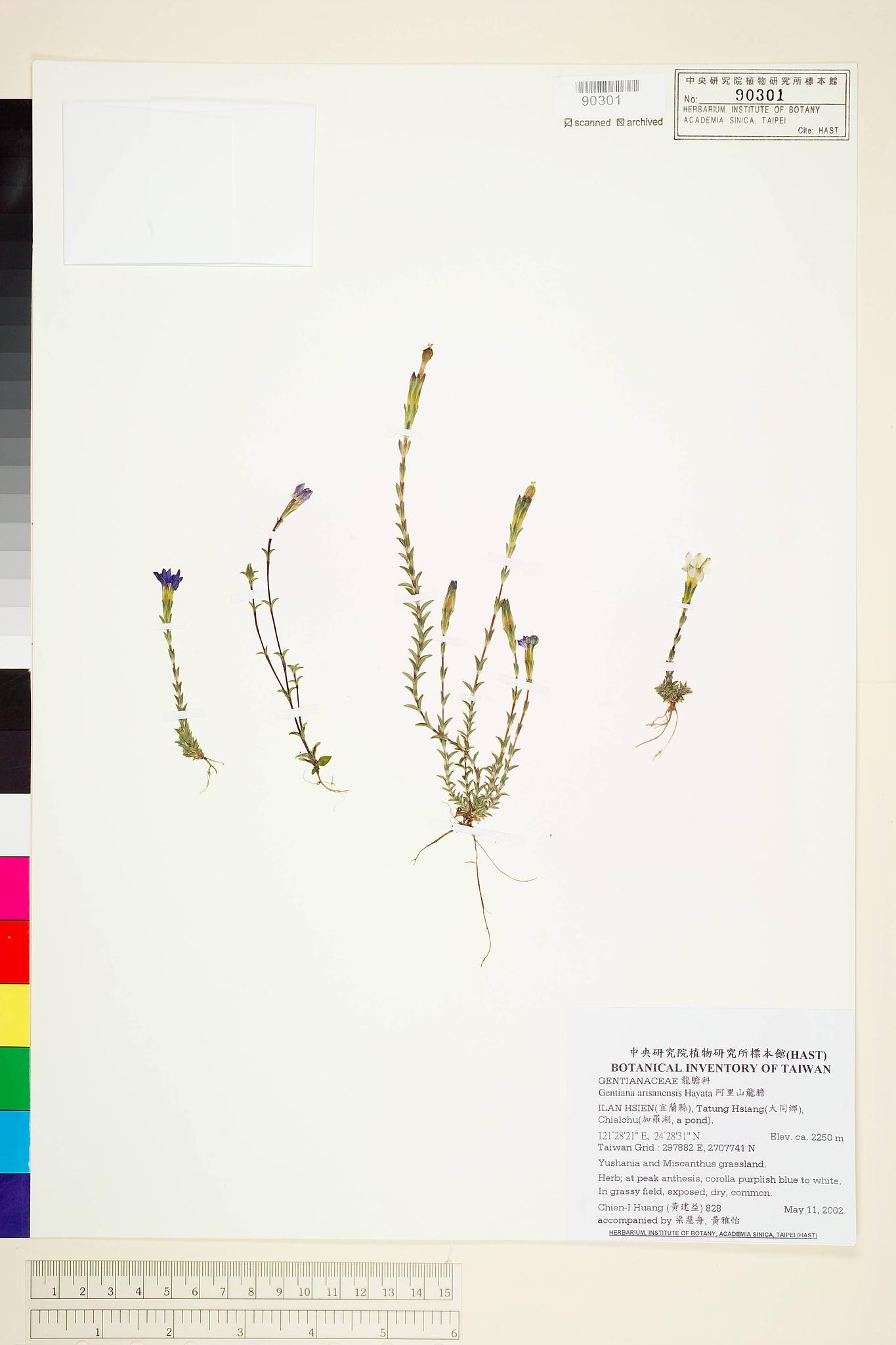 Sample image for viewer