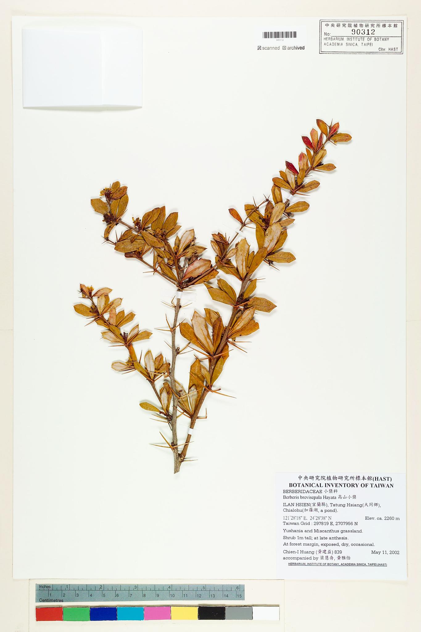 Sample image for viewer