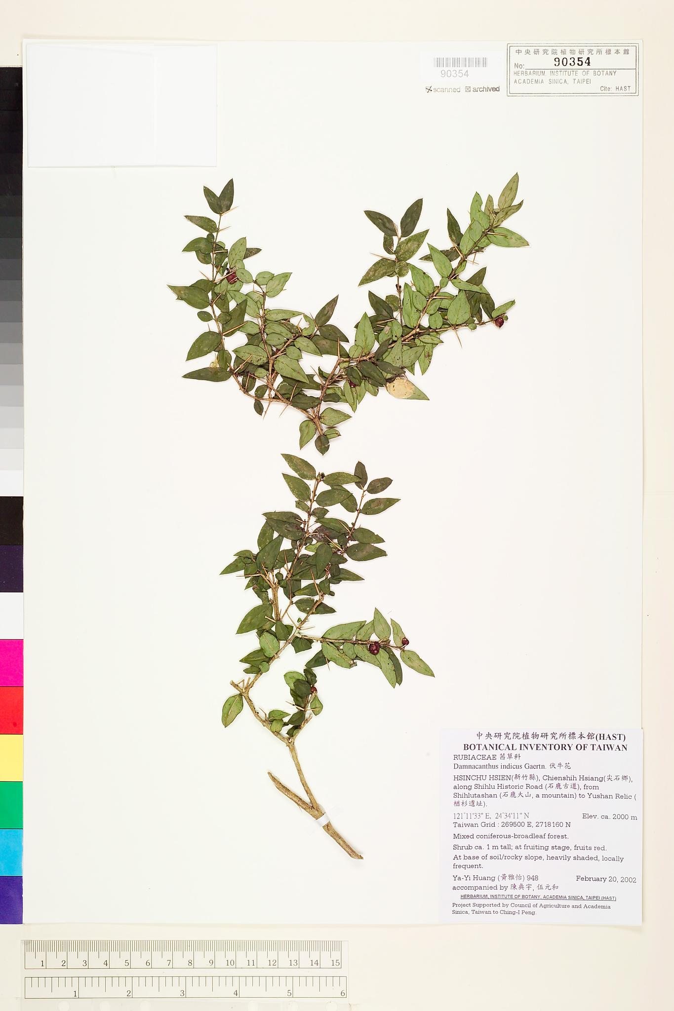 Sample image for viewer