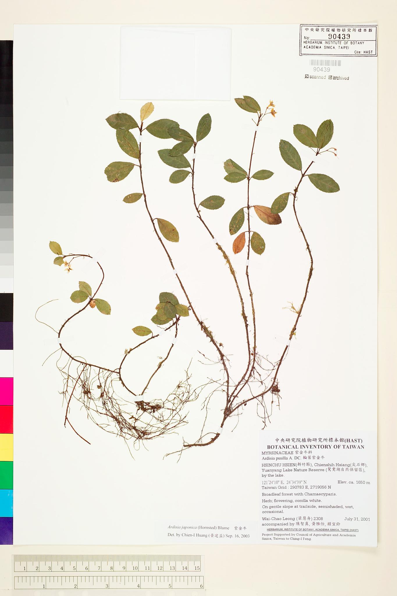 Sample image for viewer