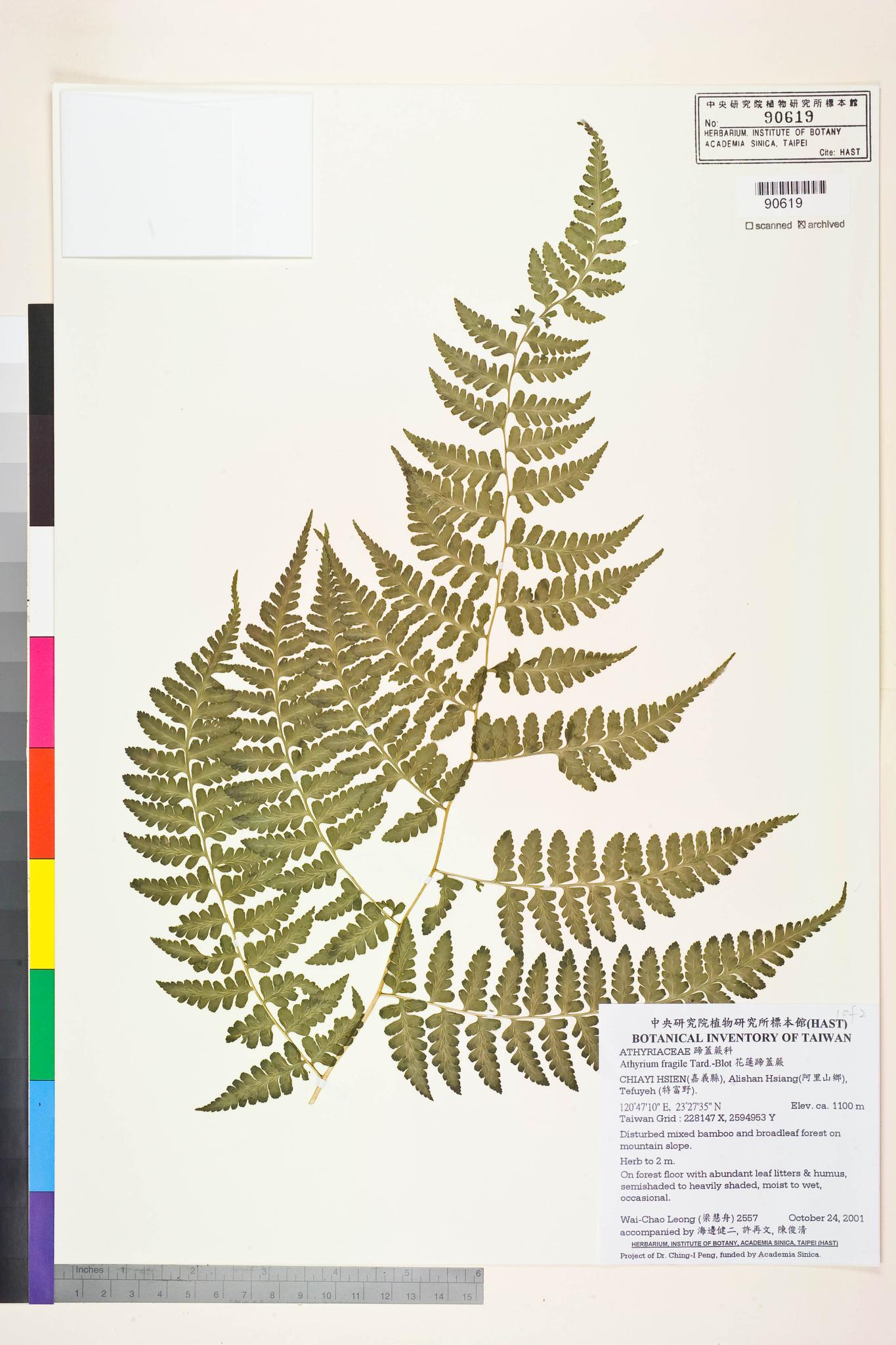 Sample image for viewer