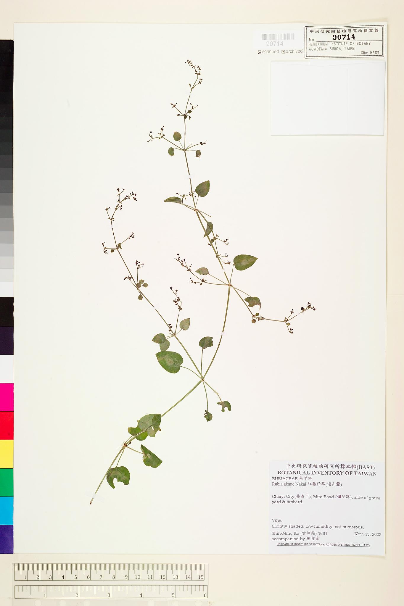 Sample image for viewer