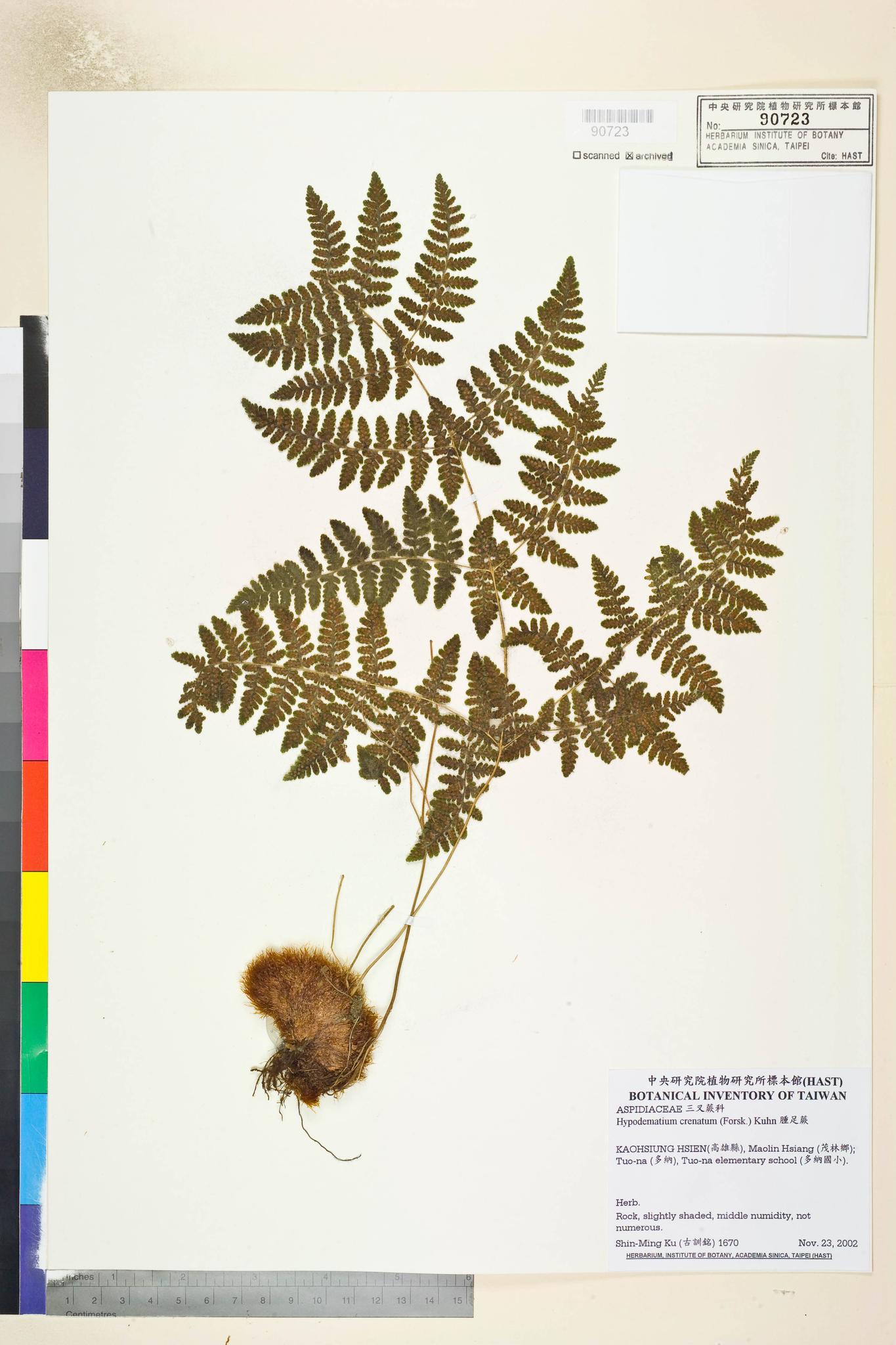 Sample image for viewer