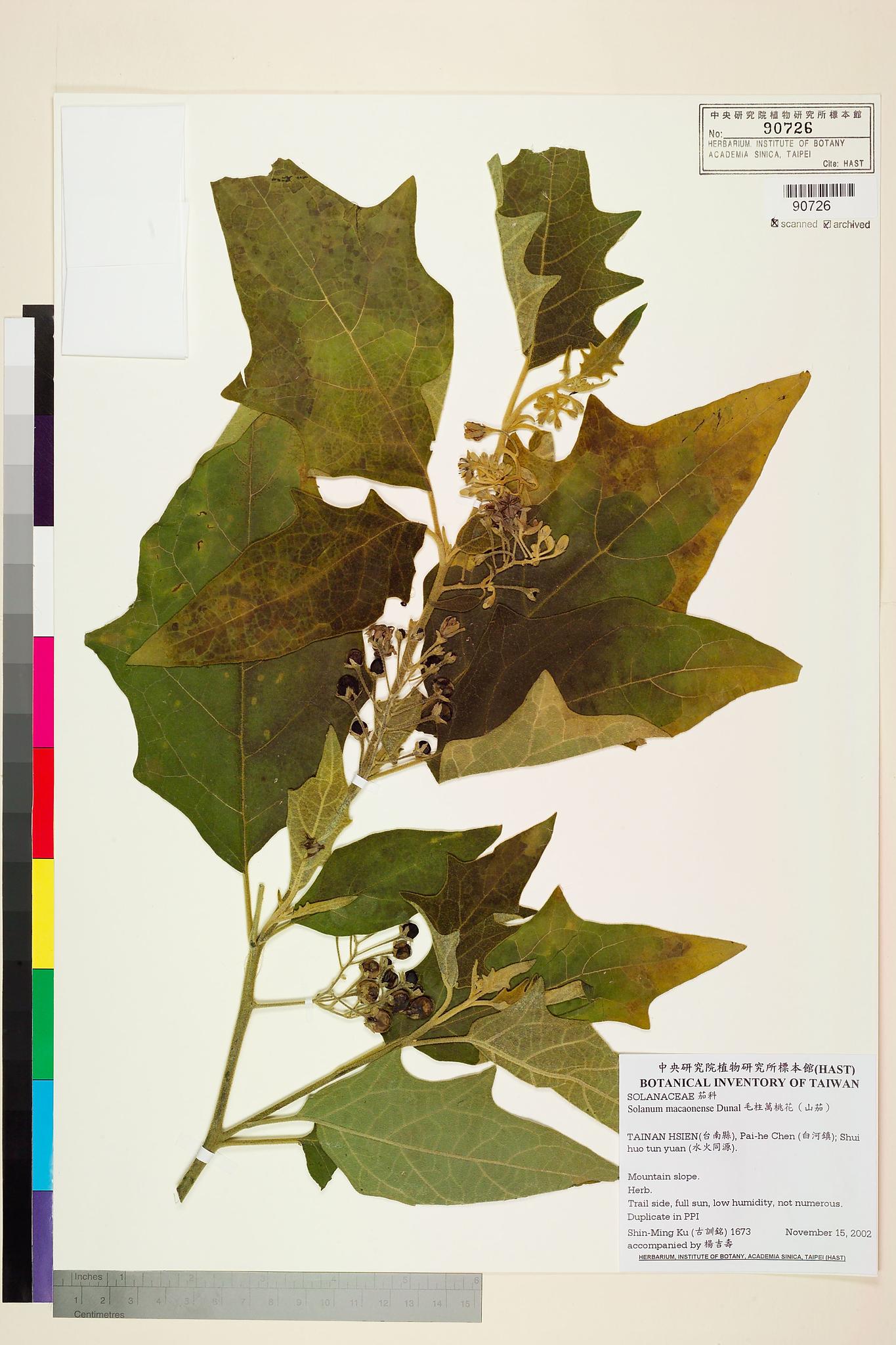 Sample image for viewer