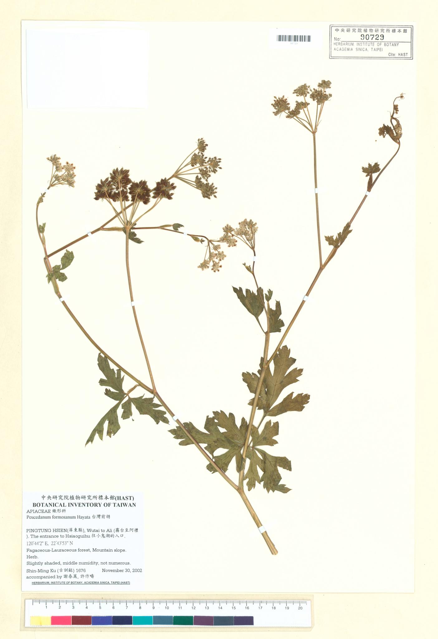 Sample image for viewer