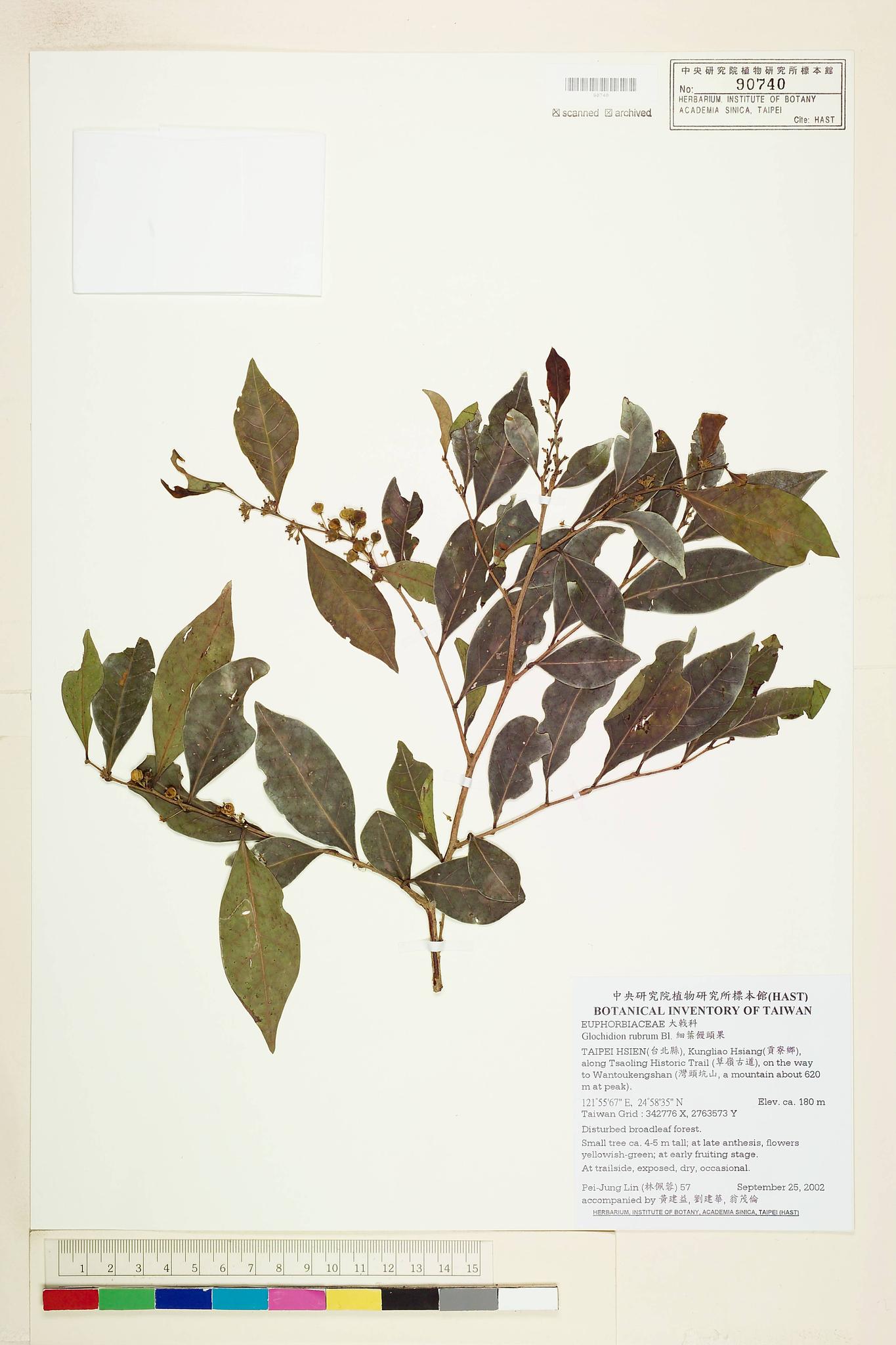 Sample image for viewer