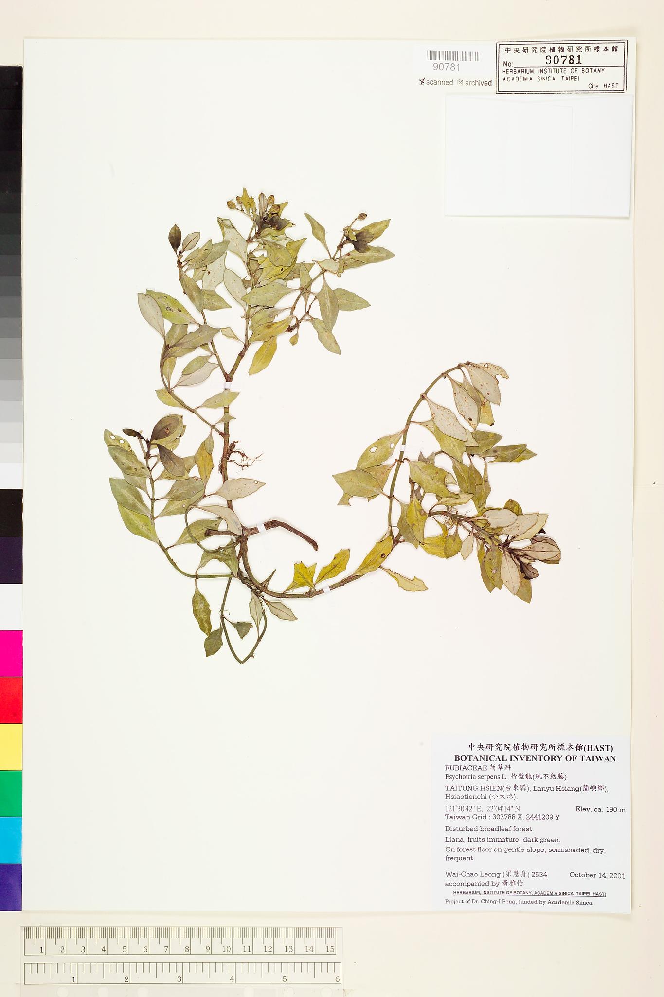 Sample image for viewer