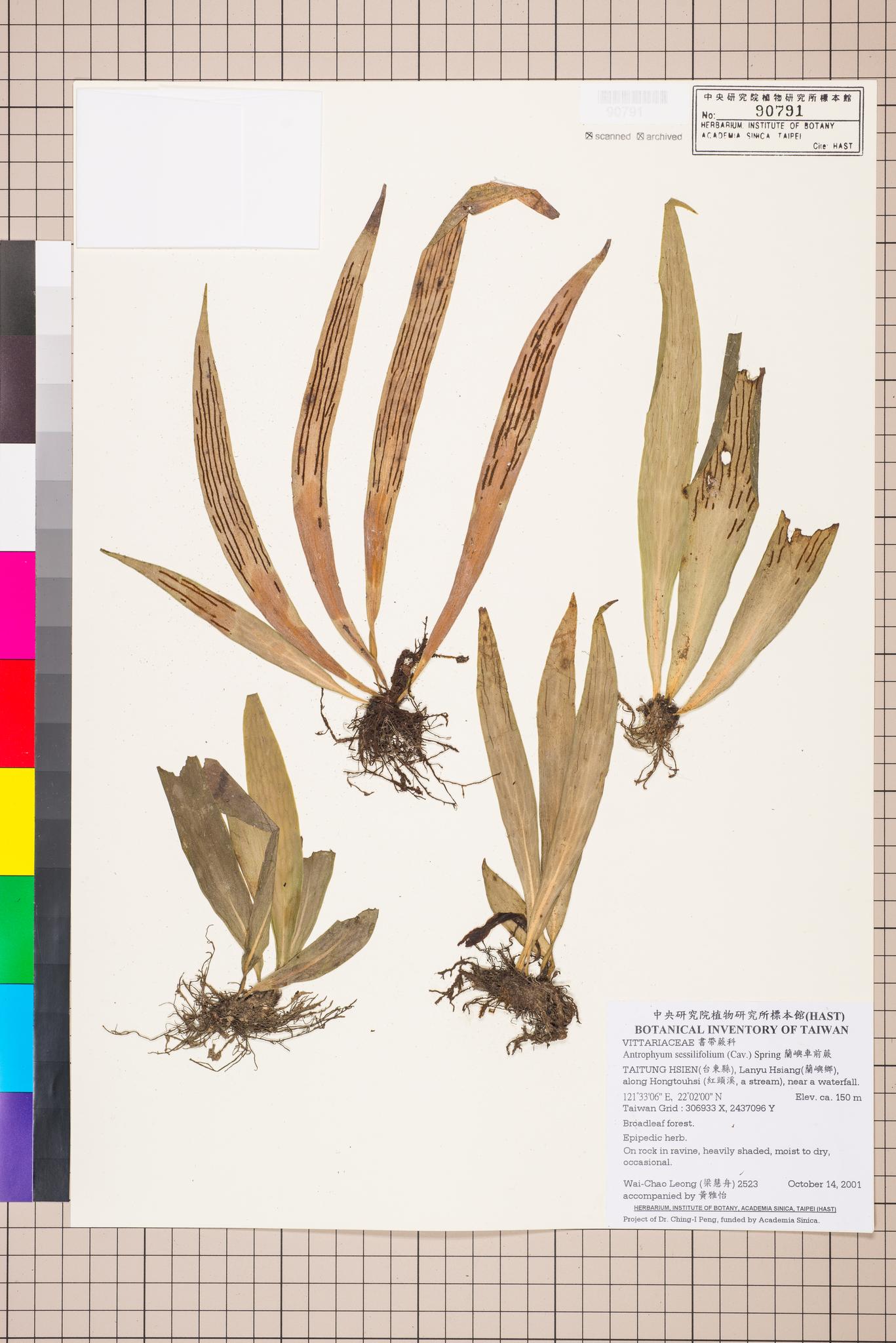 Sample image for viewer