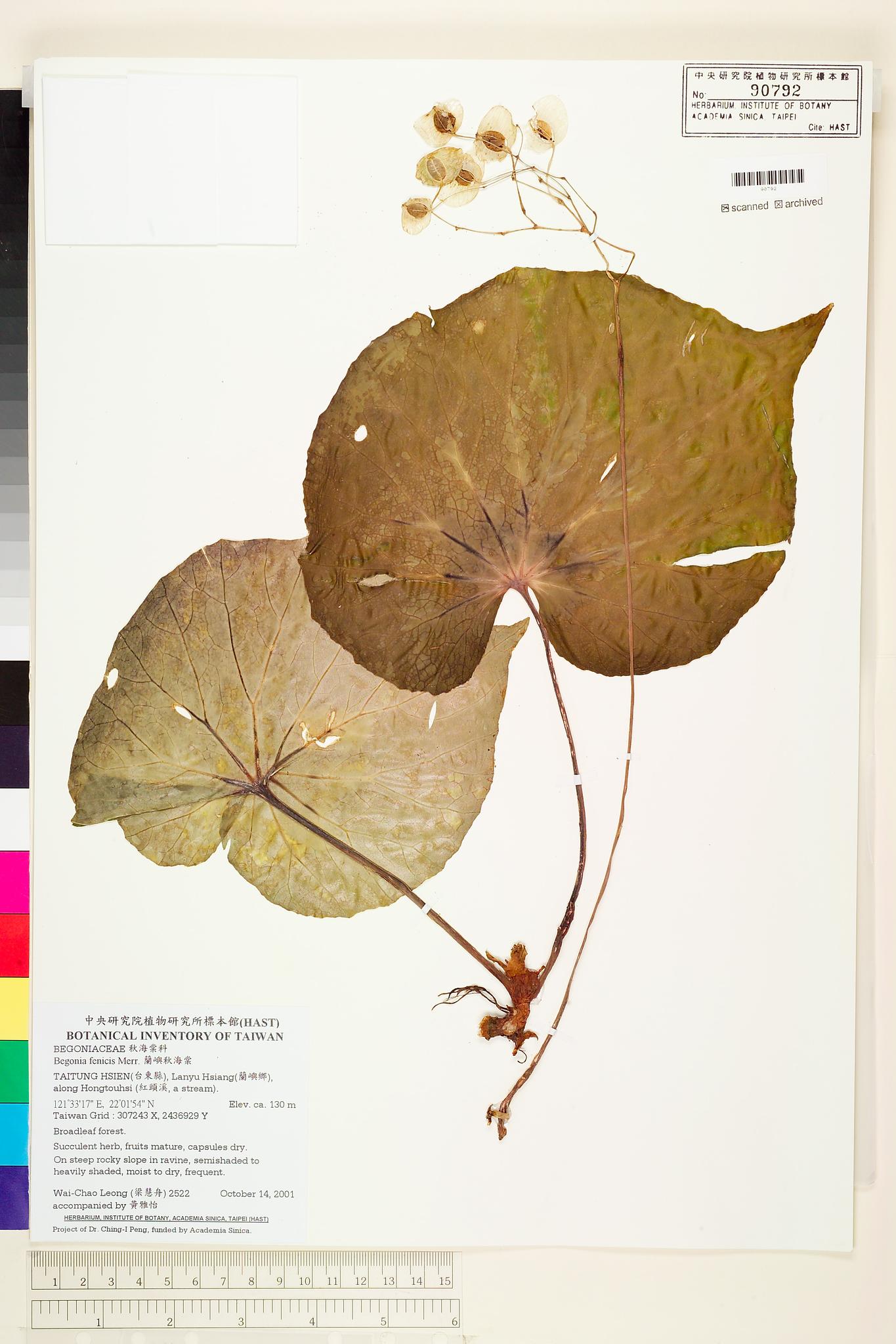 Sample image for viewer