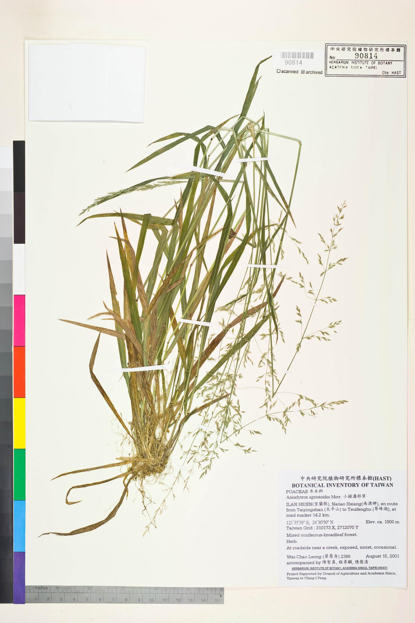 Sample image for viewer