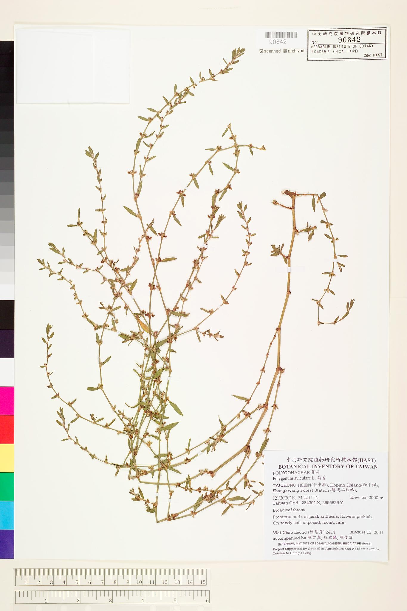 Sample image for viewer