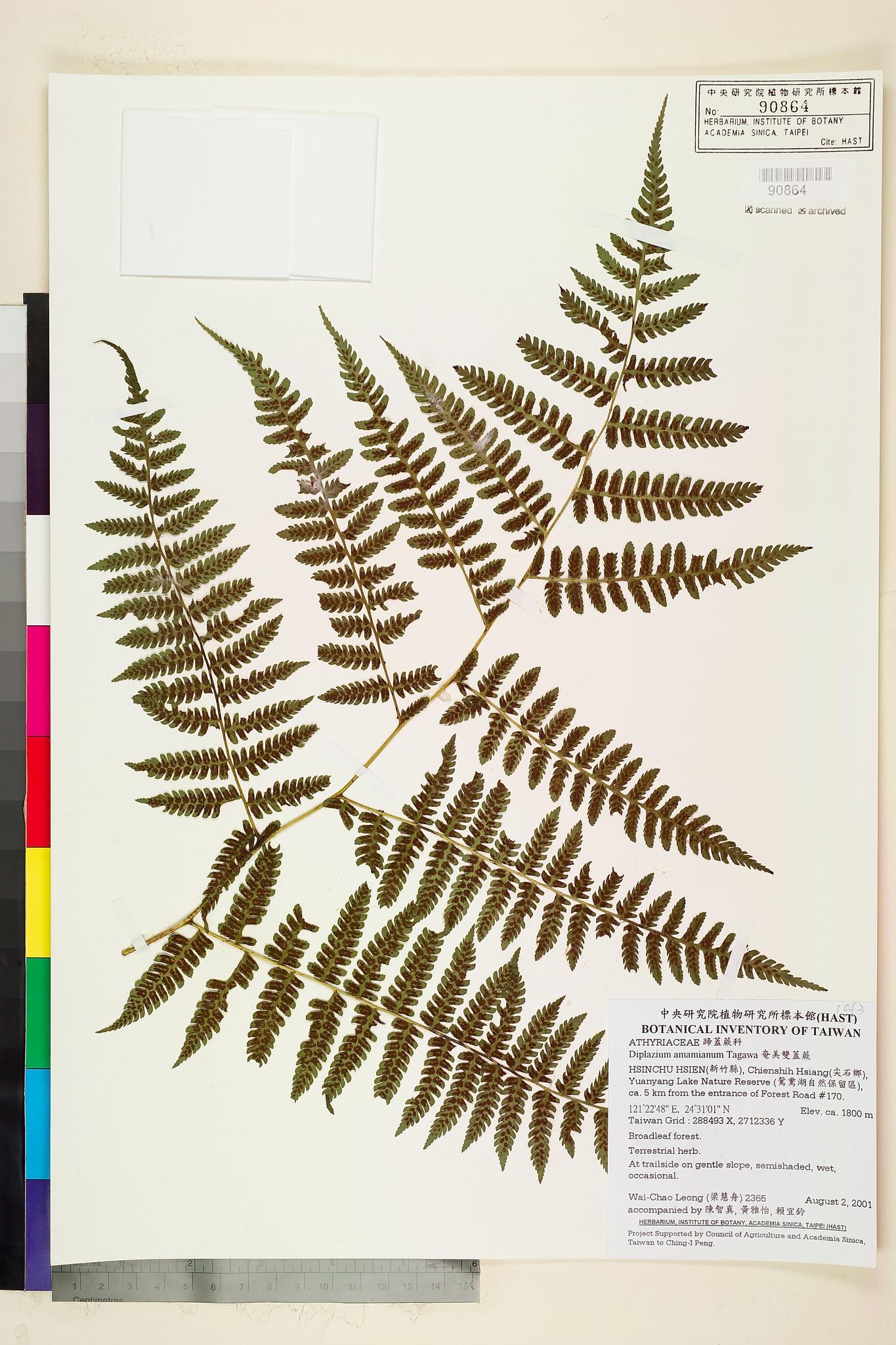 Sample image for viewer