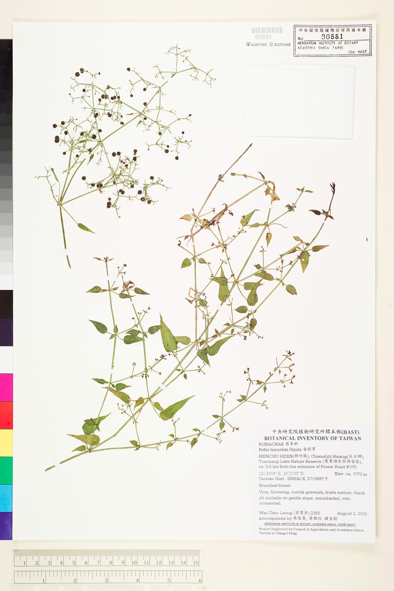 Sample image for viewer