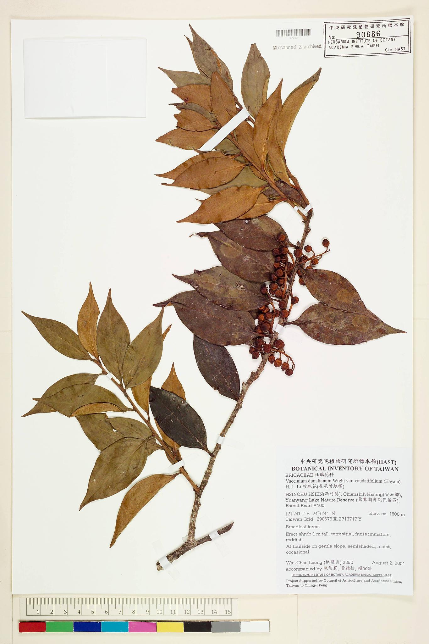 Sample image for viewer