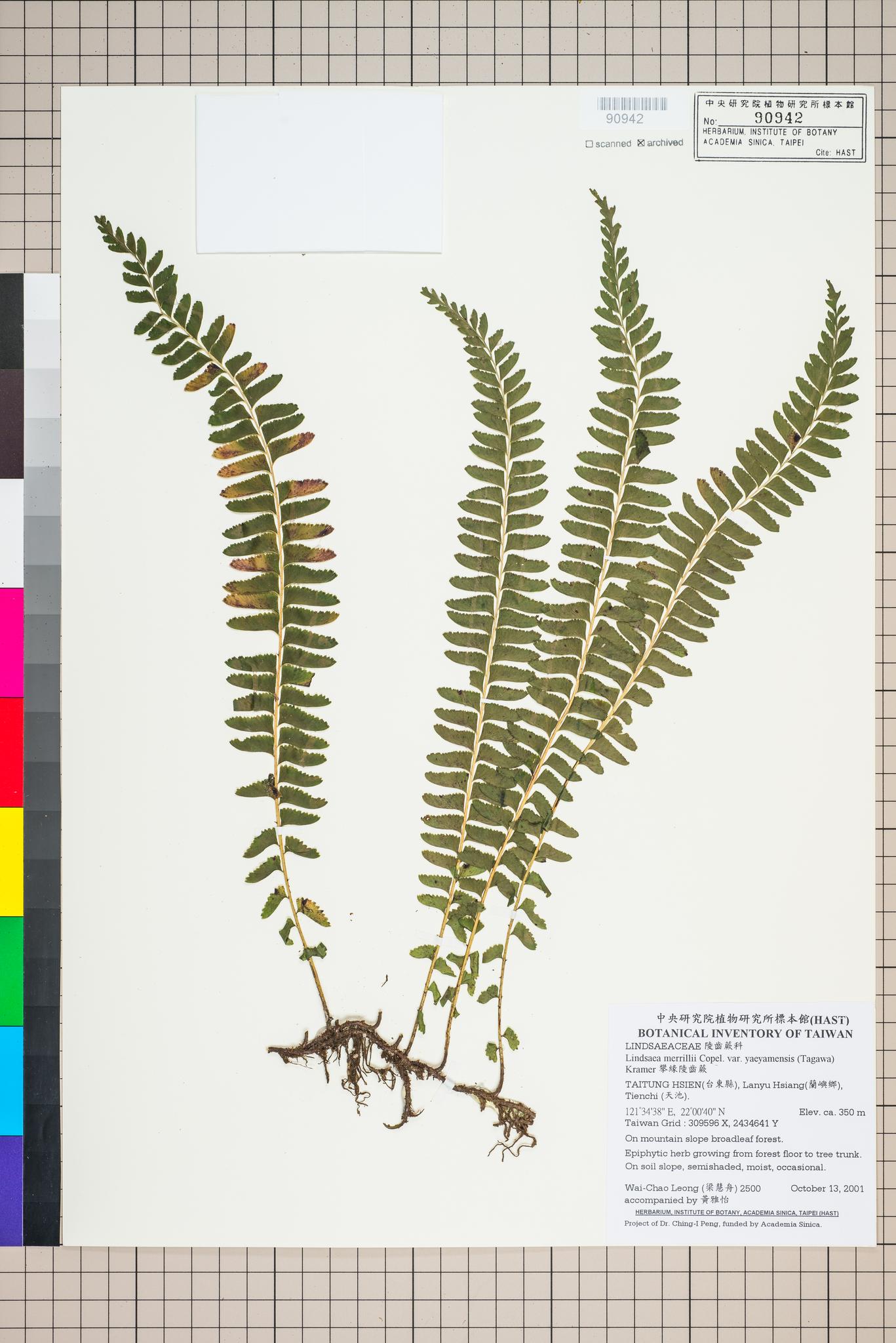 Sample image for viewer