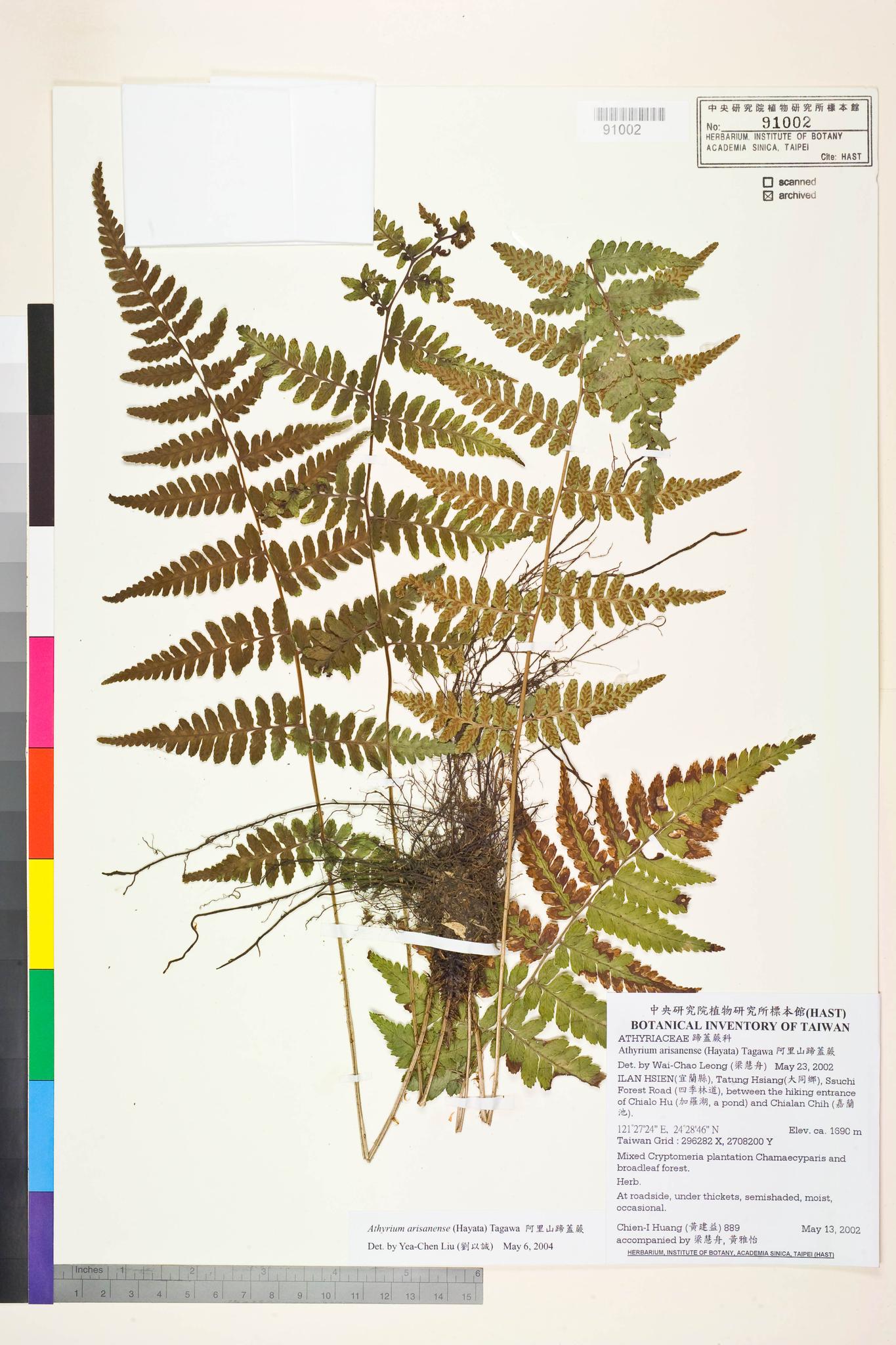 Sample image for viewer