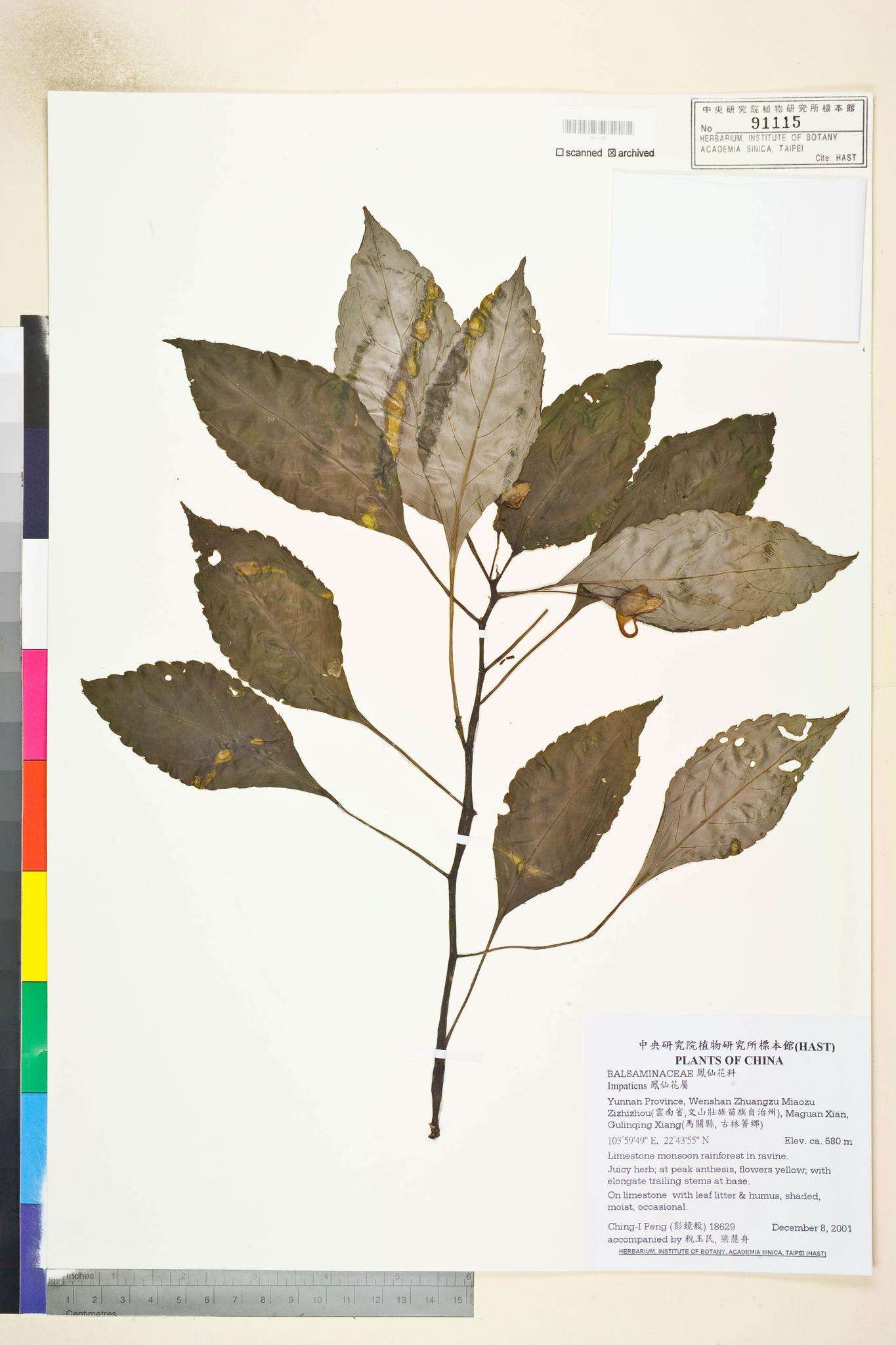 Sample image for viewer