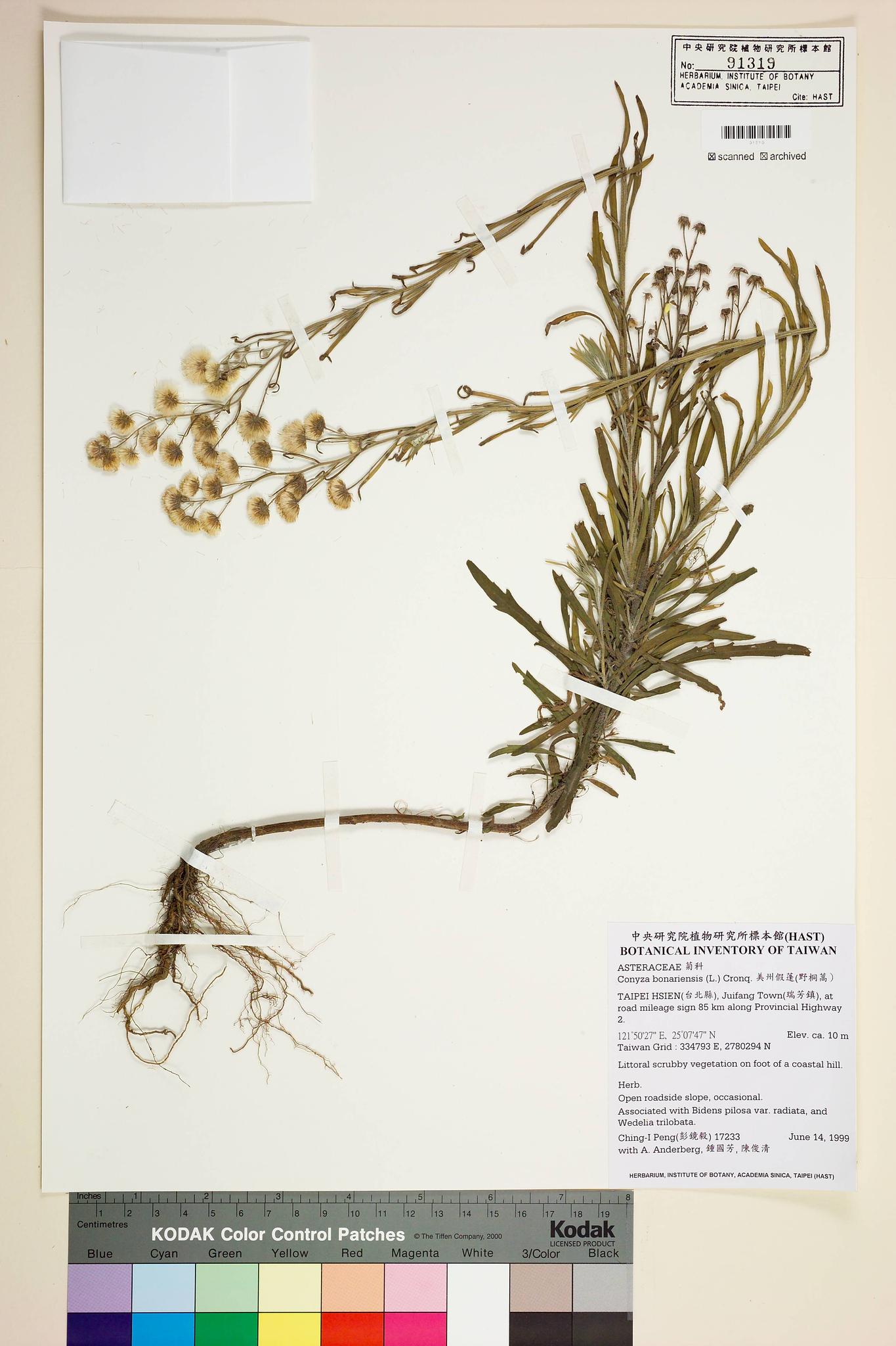 Sample image for viewer