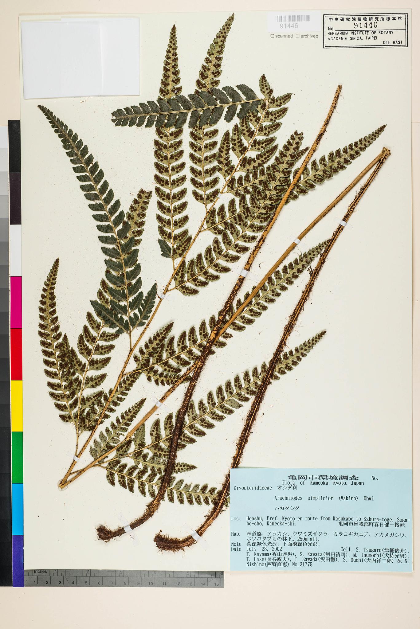 Sample image for viewer