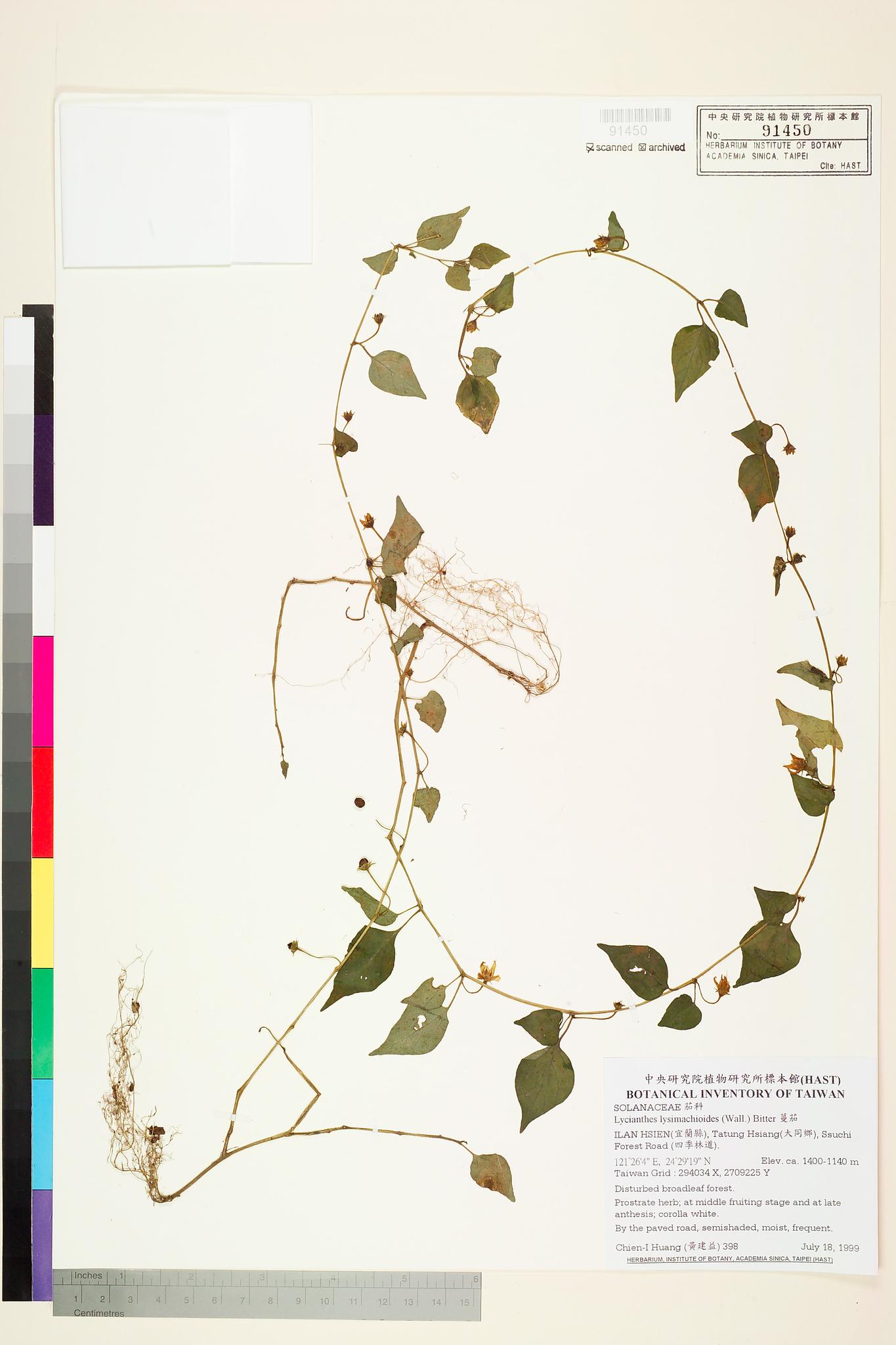 Sample image for viewer