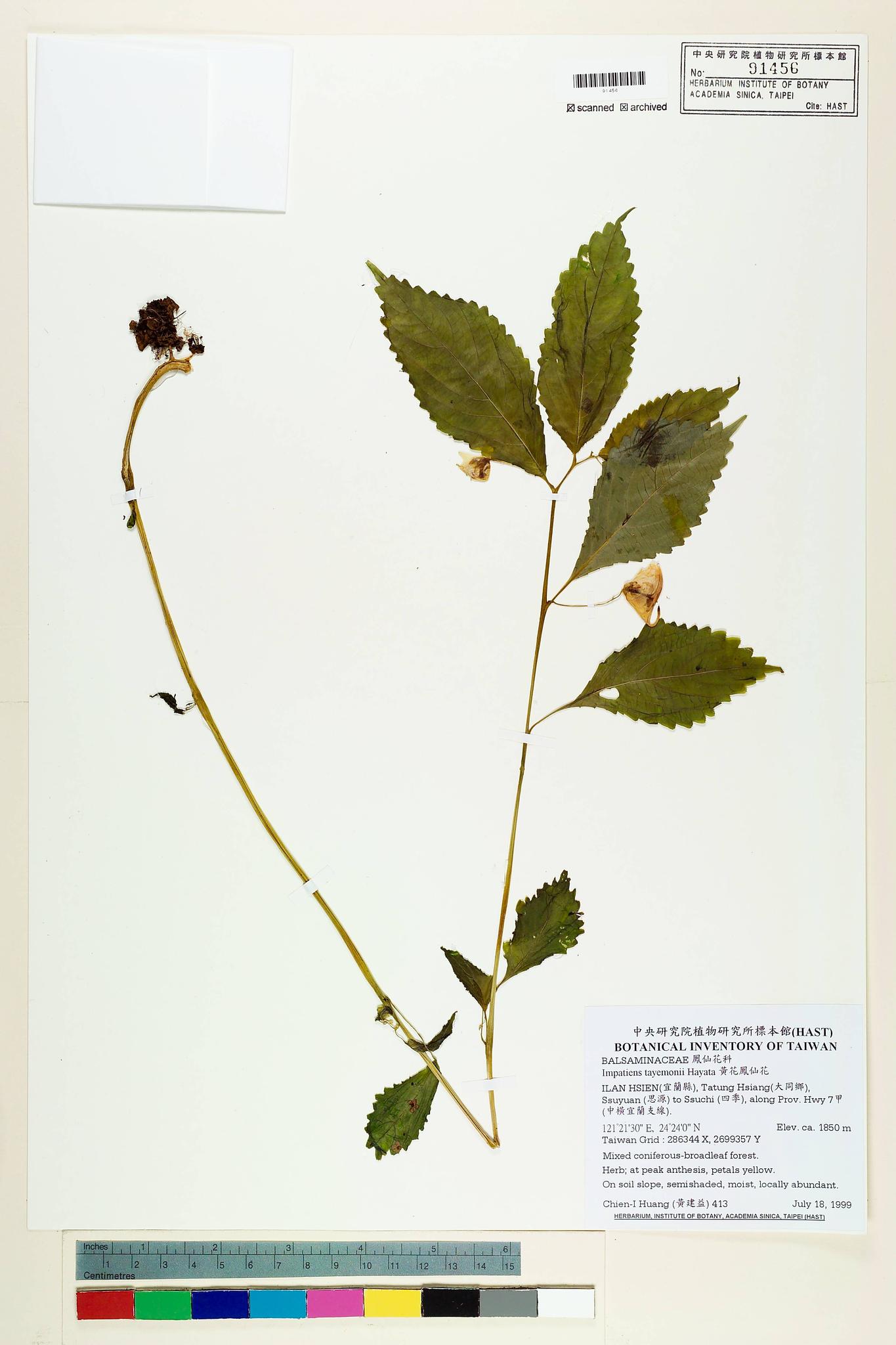 Sample image for viewer