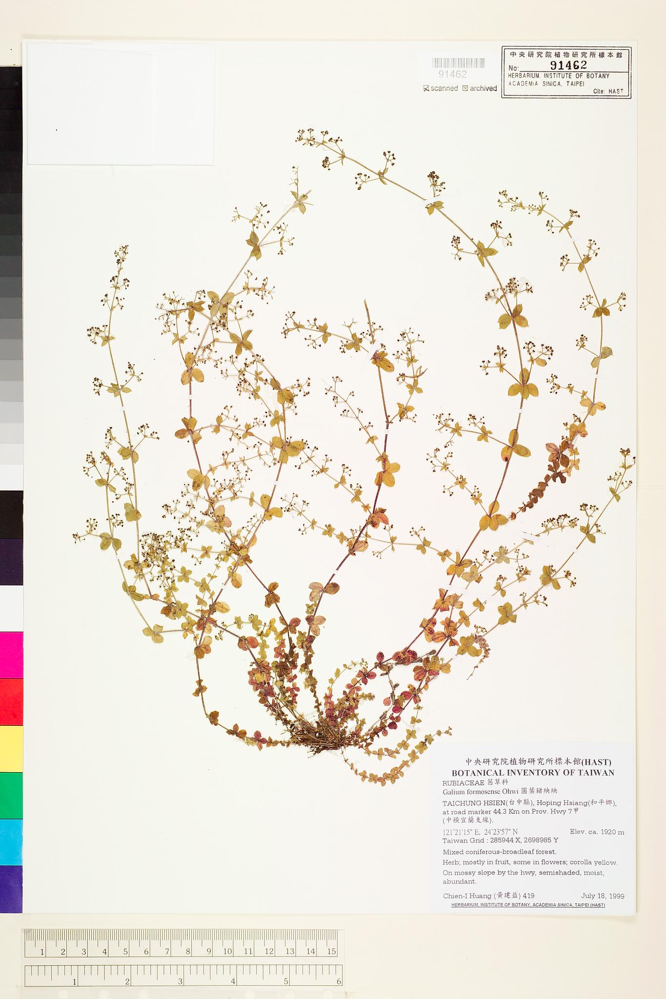 Sample image for viewer